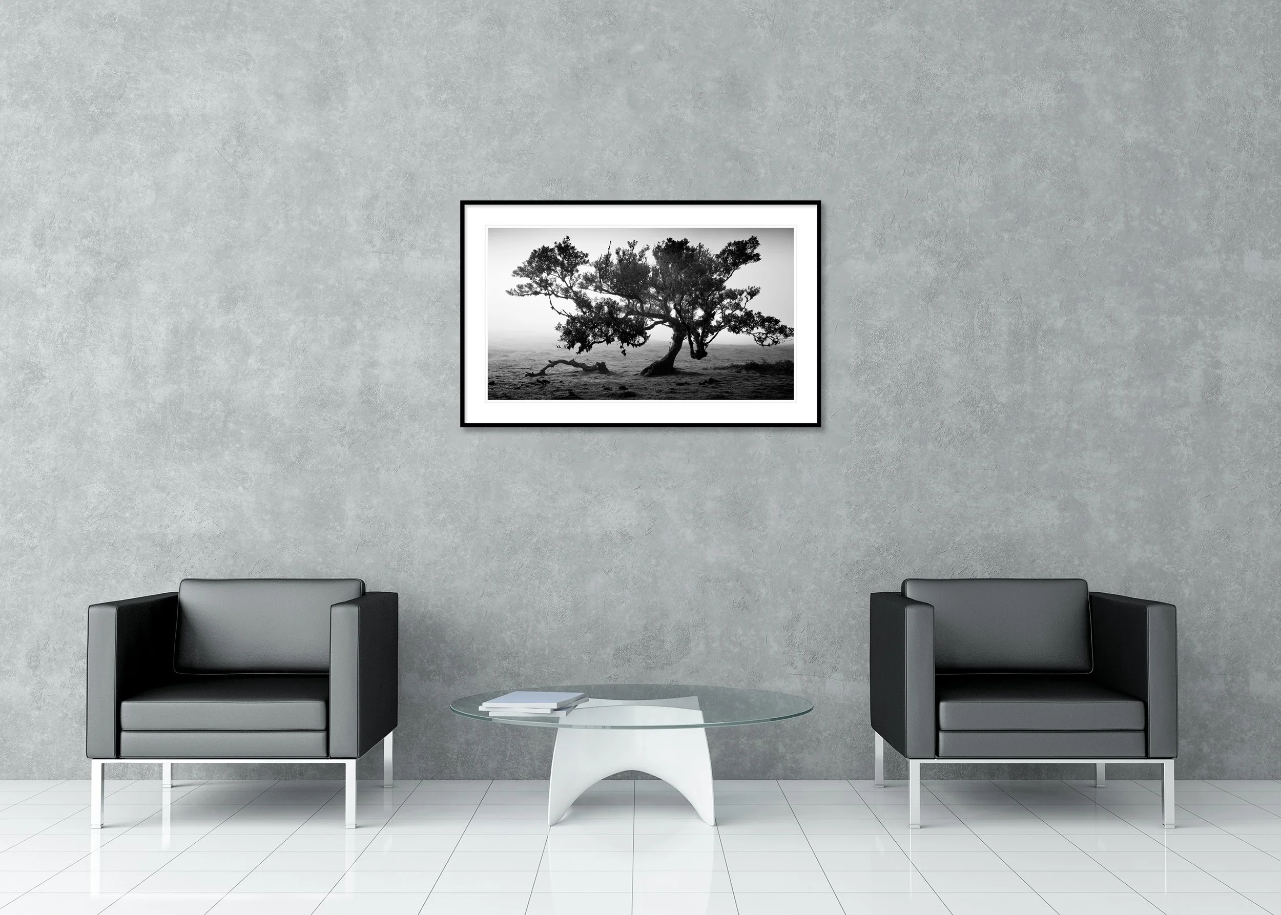 Ancient Laurisilva Forest, Study 16 – black-and-white archival pigment print in a black aluminium frame with a white mount in a modern lounge.