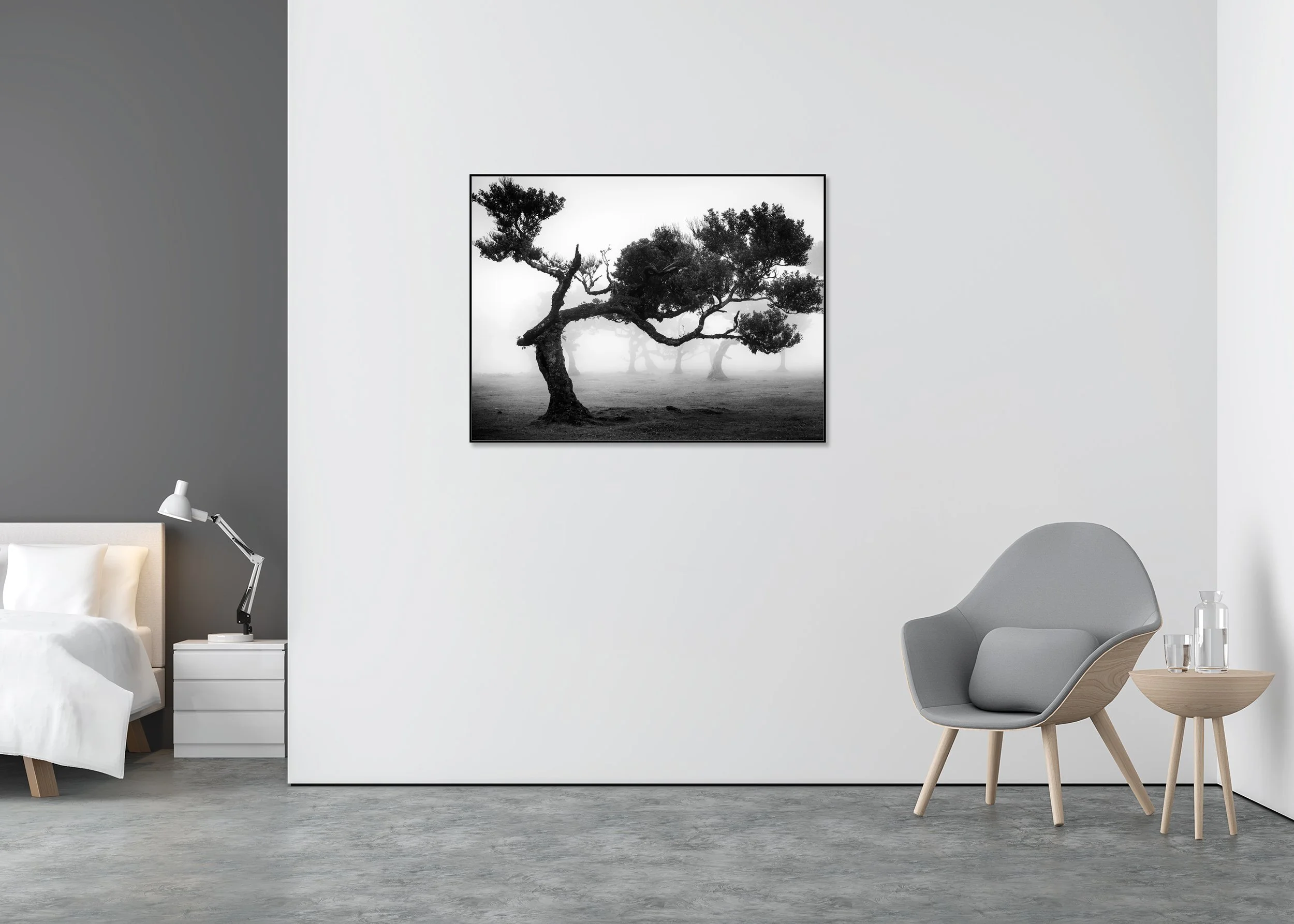 Ancient Laurisilva Forest Study 9 – Portugal, black-and-white fine art print mounted to Dibond in an aluminium ArtBox