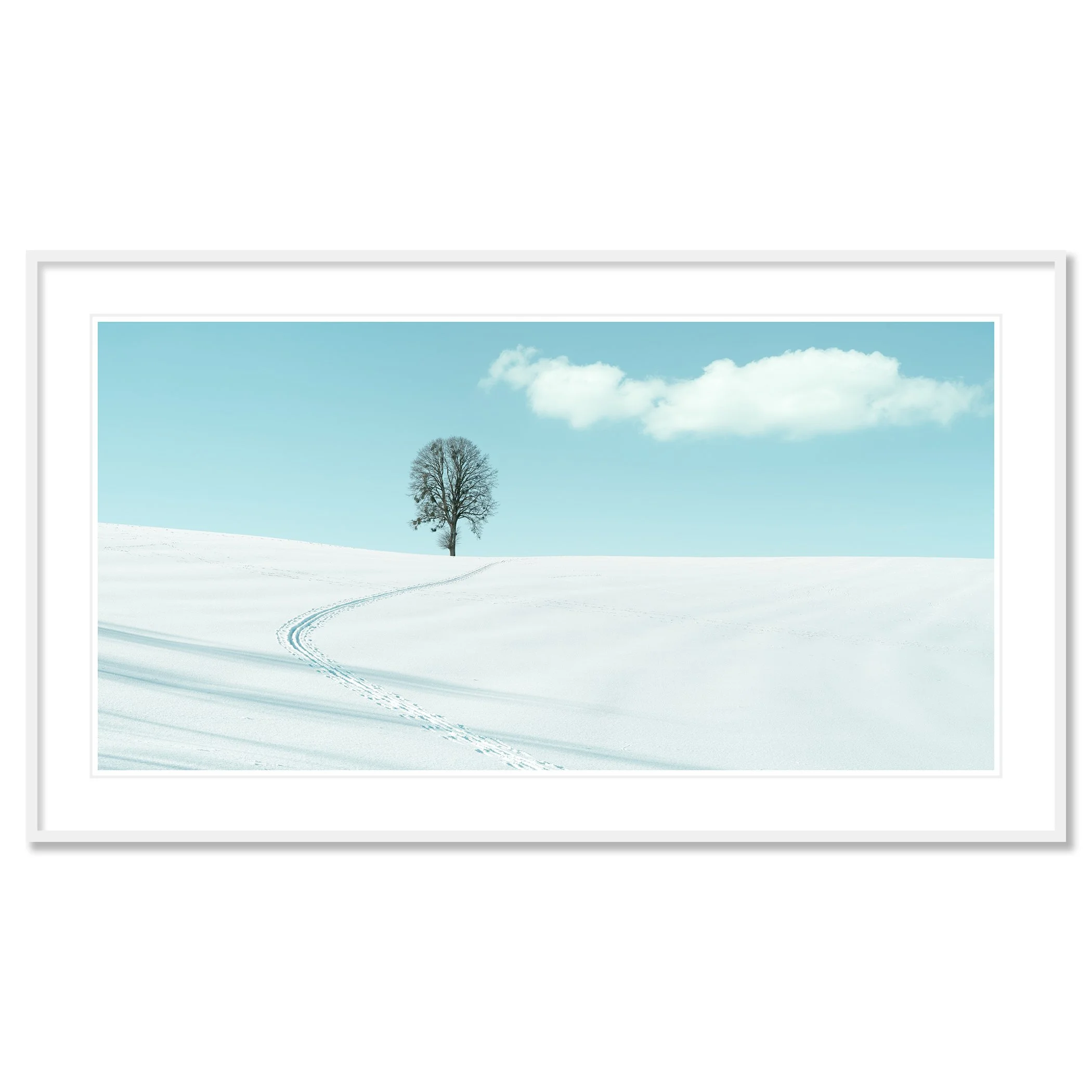 Winter Path to the Lone Tree – Austria, colour pigment print in a white aluminium frame with white mount.