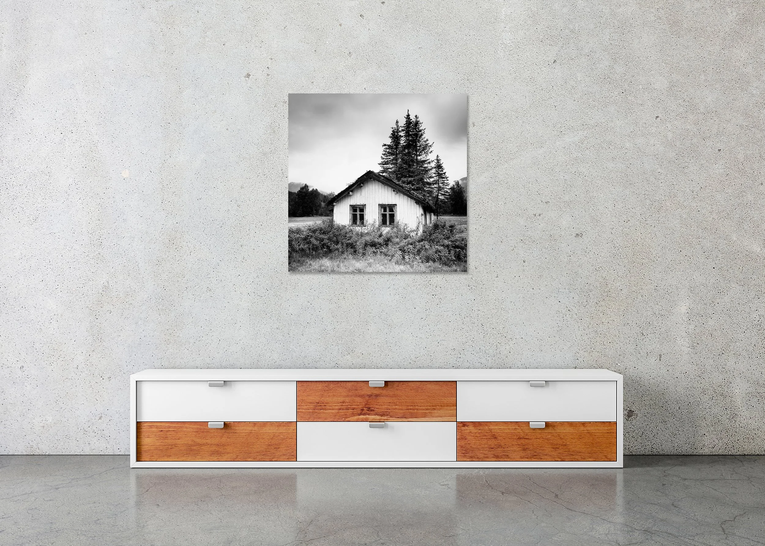 Trees on the Roof Study 1 – Norway displayed on a wall as a frameless Dibond-mounted black-and-white print.