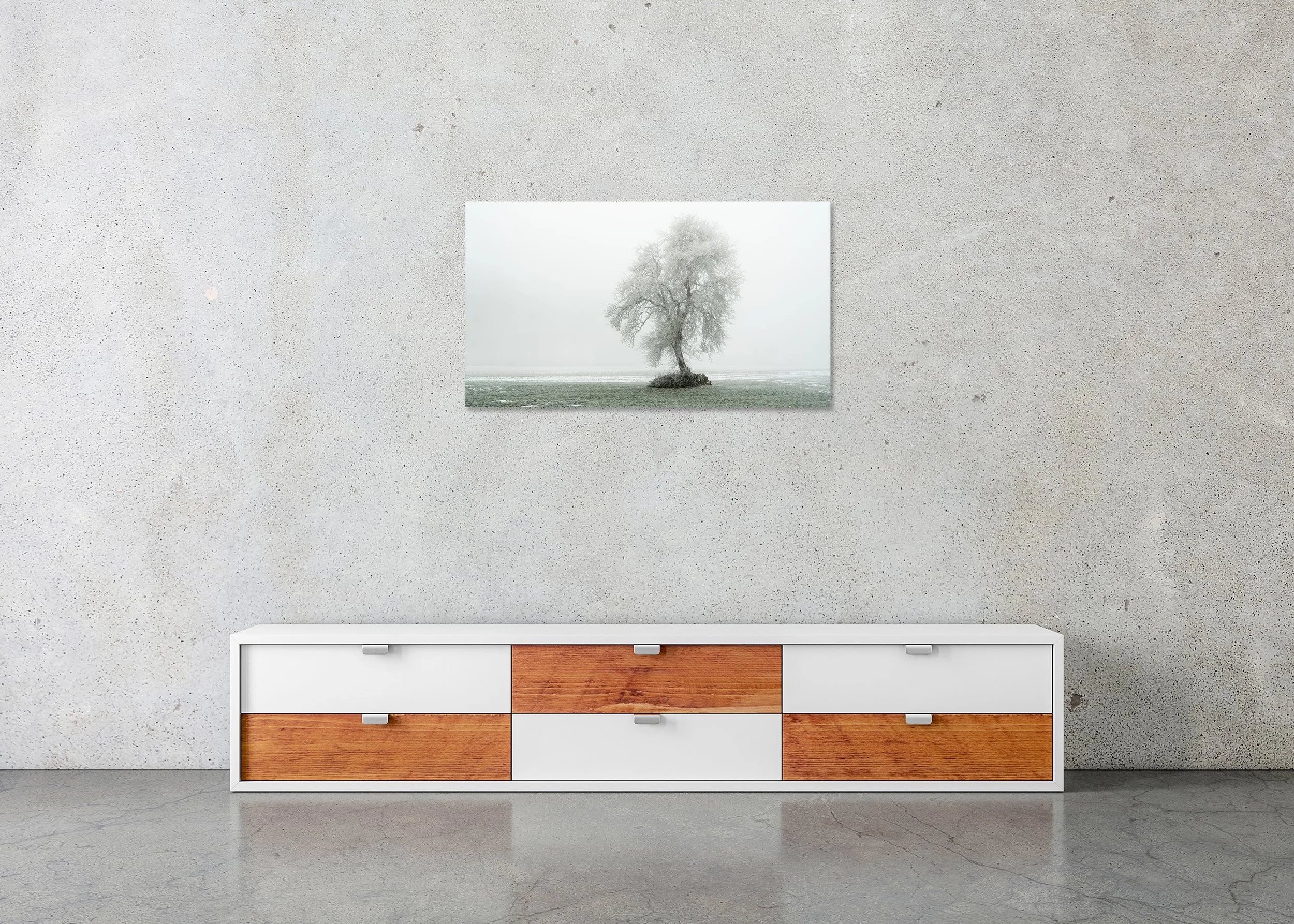 Tree with Hoar Frost Panorama Study 1 displayed in a modern interior as a frameless colour artwork mounted on aluminium Dibond by Gerald Berghammer.