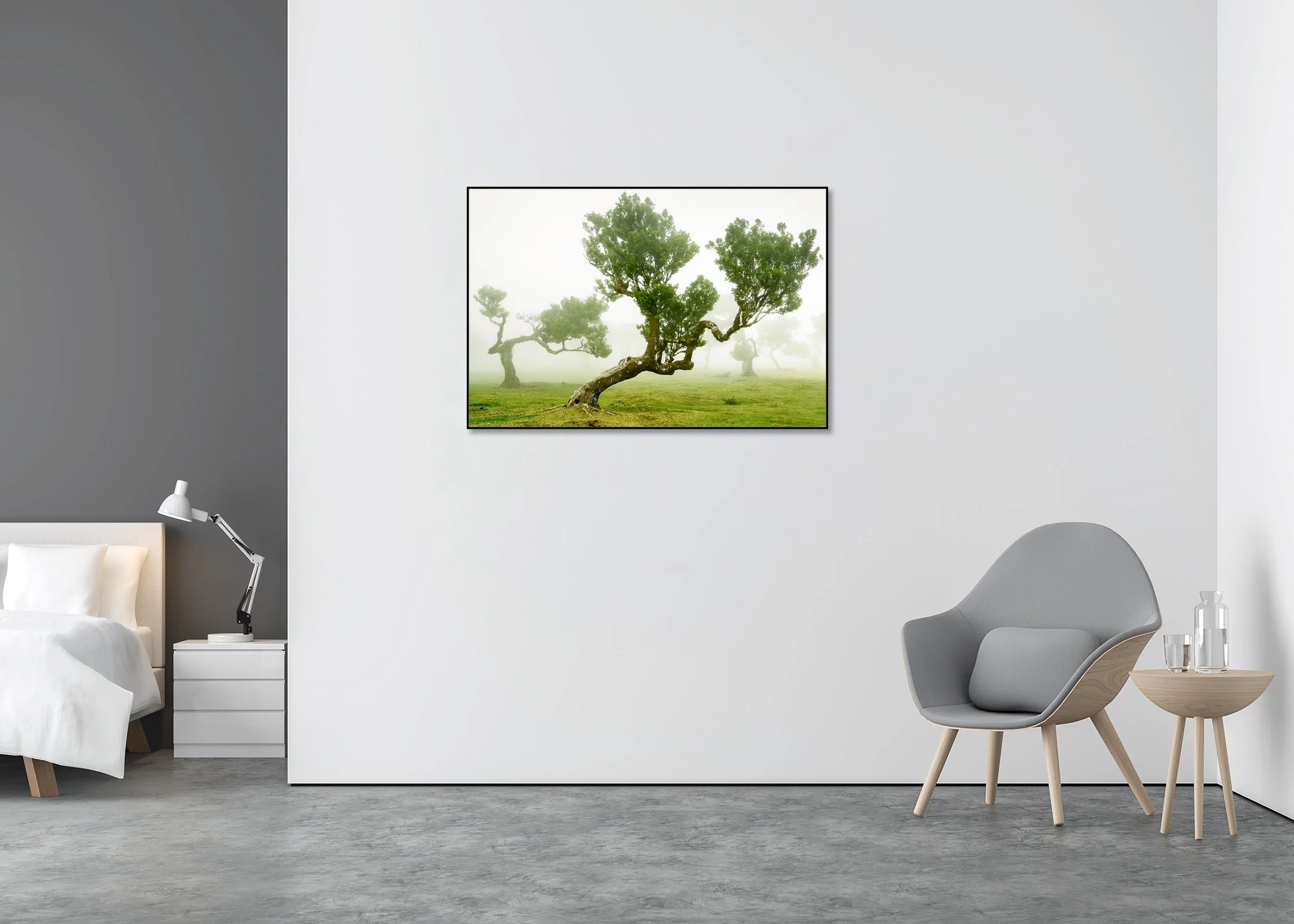 ChromaLuxe metal print in an aluminium ArtBox frame showing twisted ancient trees in a foggy green meadow, with soft mist around their gnarled trunks and leafy branches.