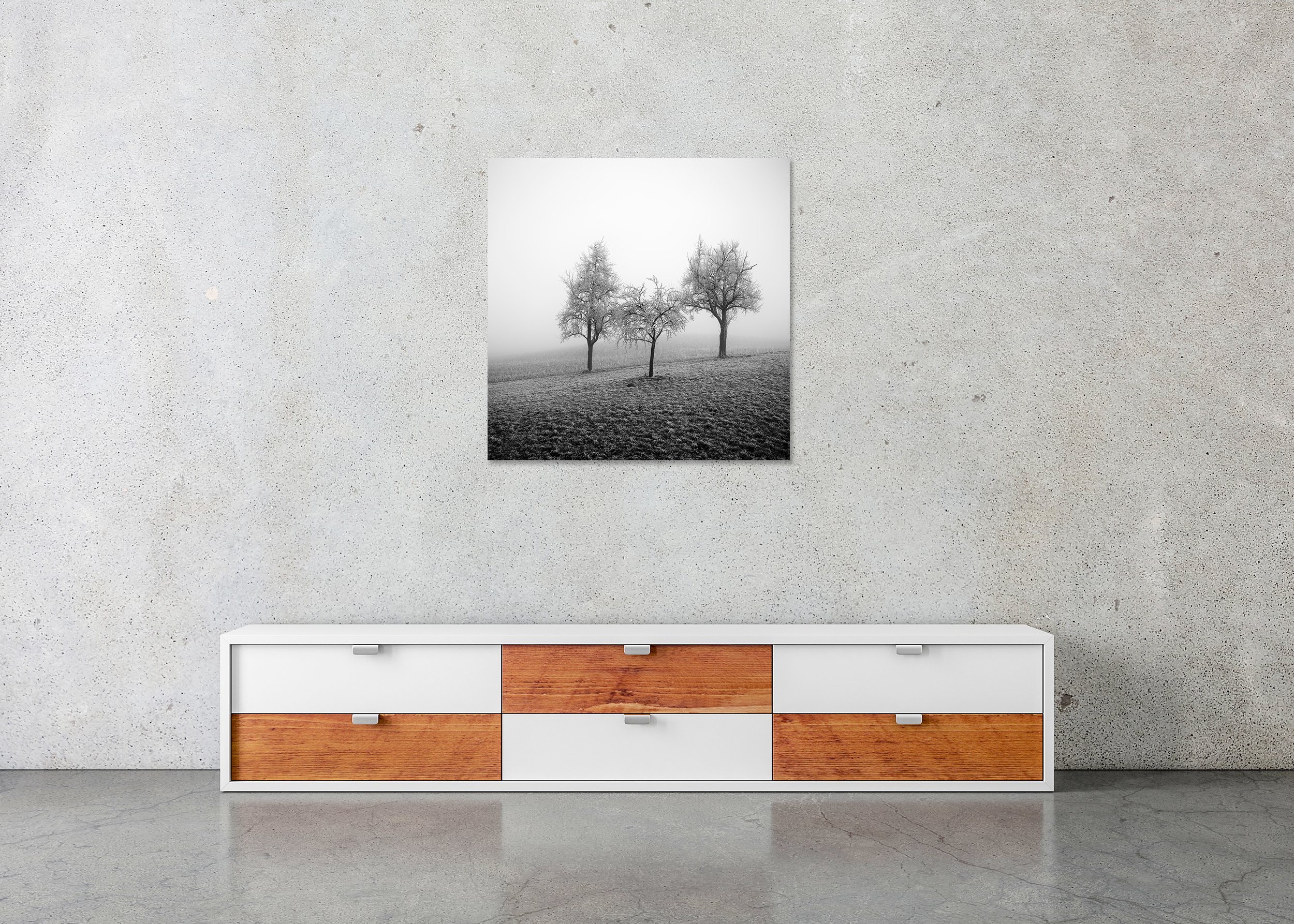 Three frost-covered trees in a foggy winter field, minimalist black-and-white landscape photograph, photo print mounted to Dibond, frameless.