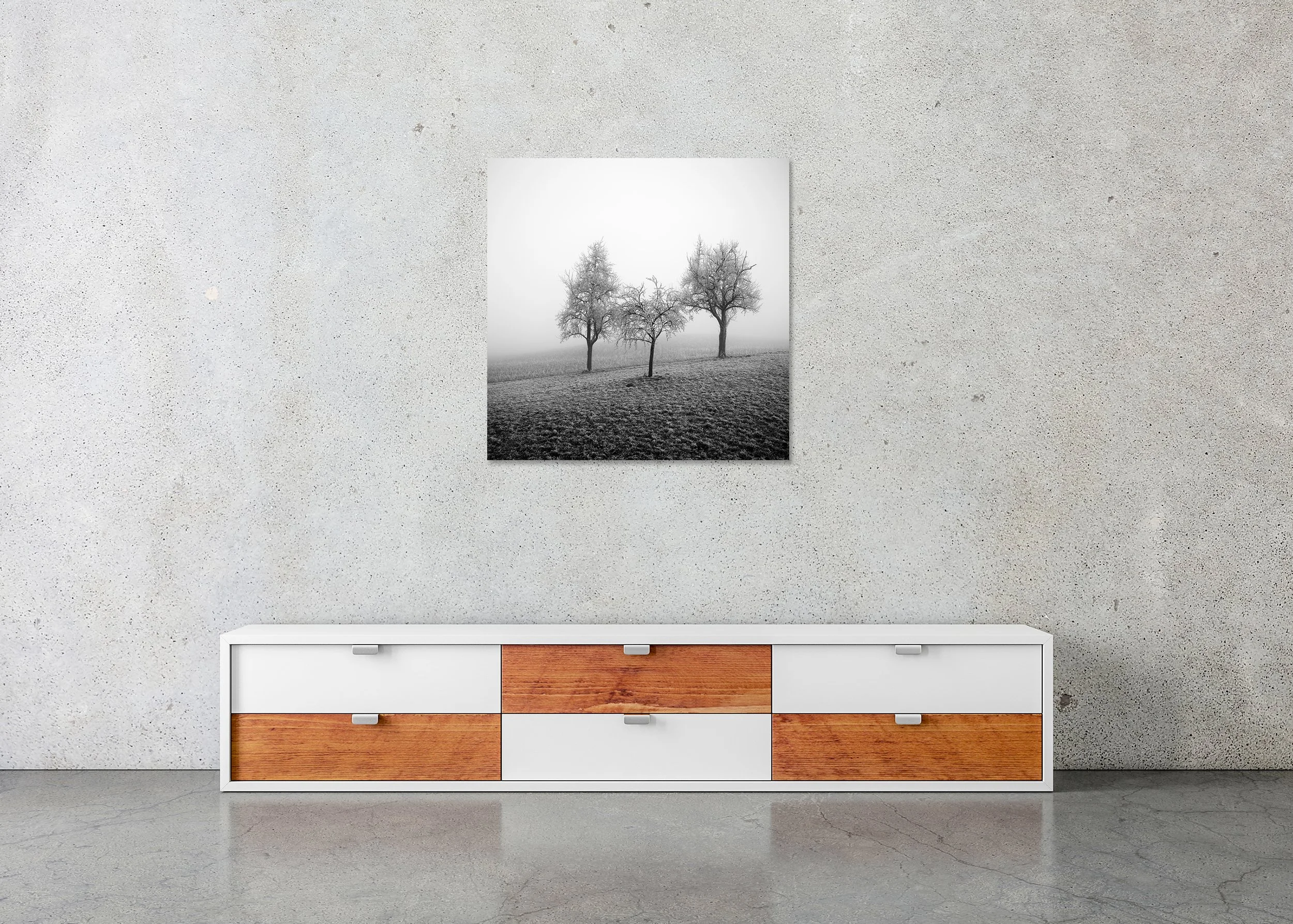 Three frost-covered trees in a foggy winter field, minimalist black-and-white landscape photograph – ChromaLuxe metal print, frameless.