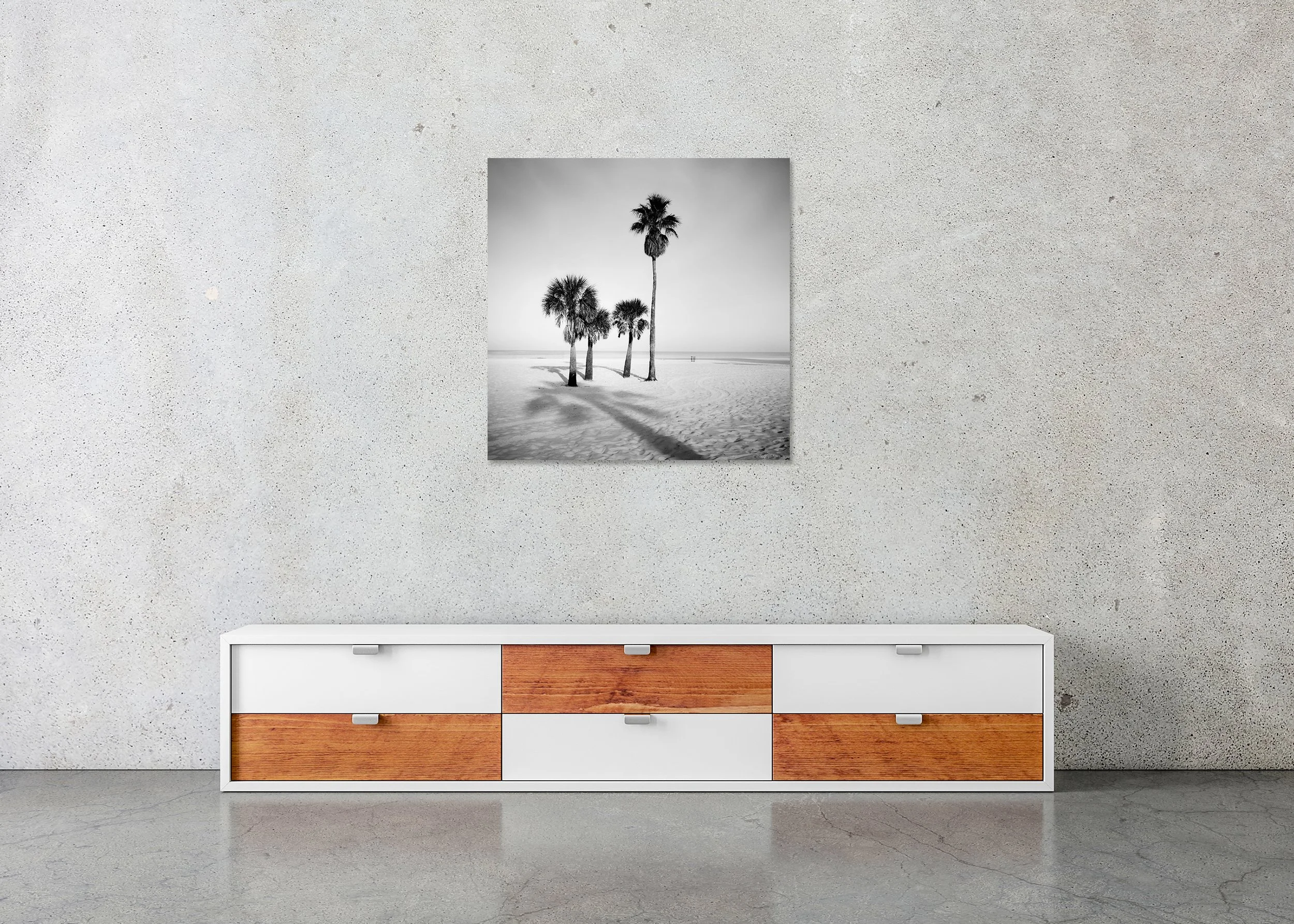 Palm Beach Study 6 displayed in a modern interior as a frameless aluminium Dibond print by Gerald Berghammer.