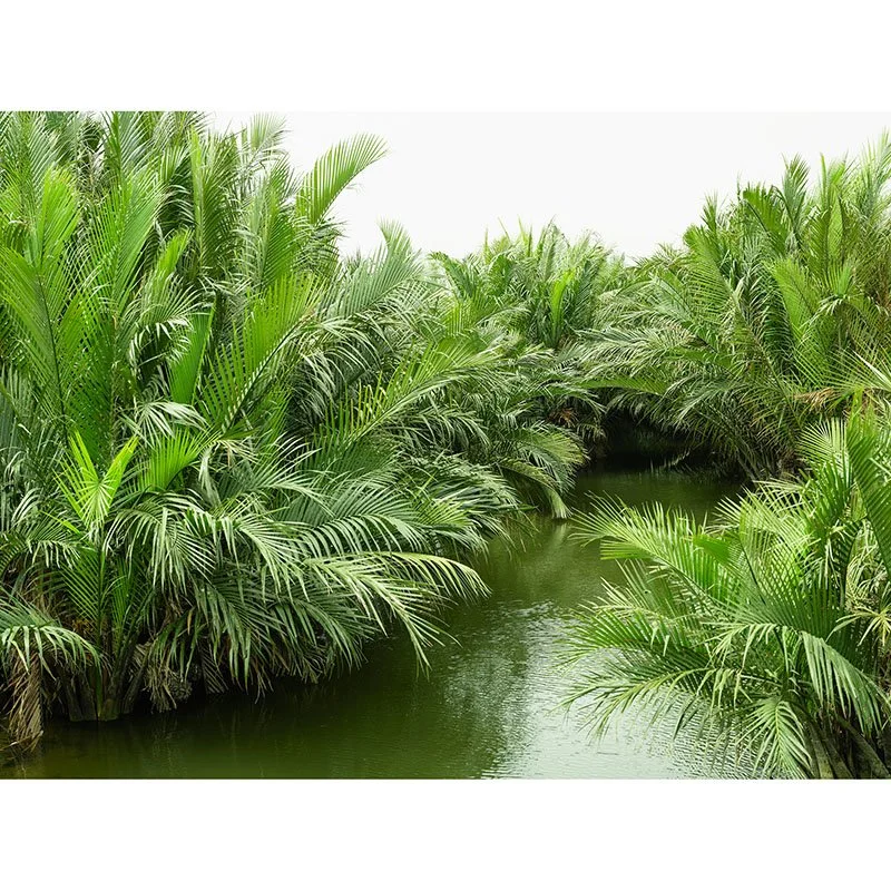 Gerald Berghammer - Welcome to the Jungle Study 1, Vietnam