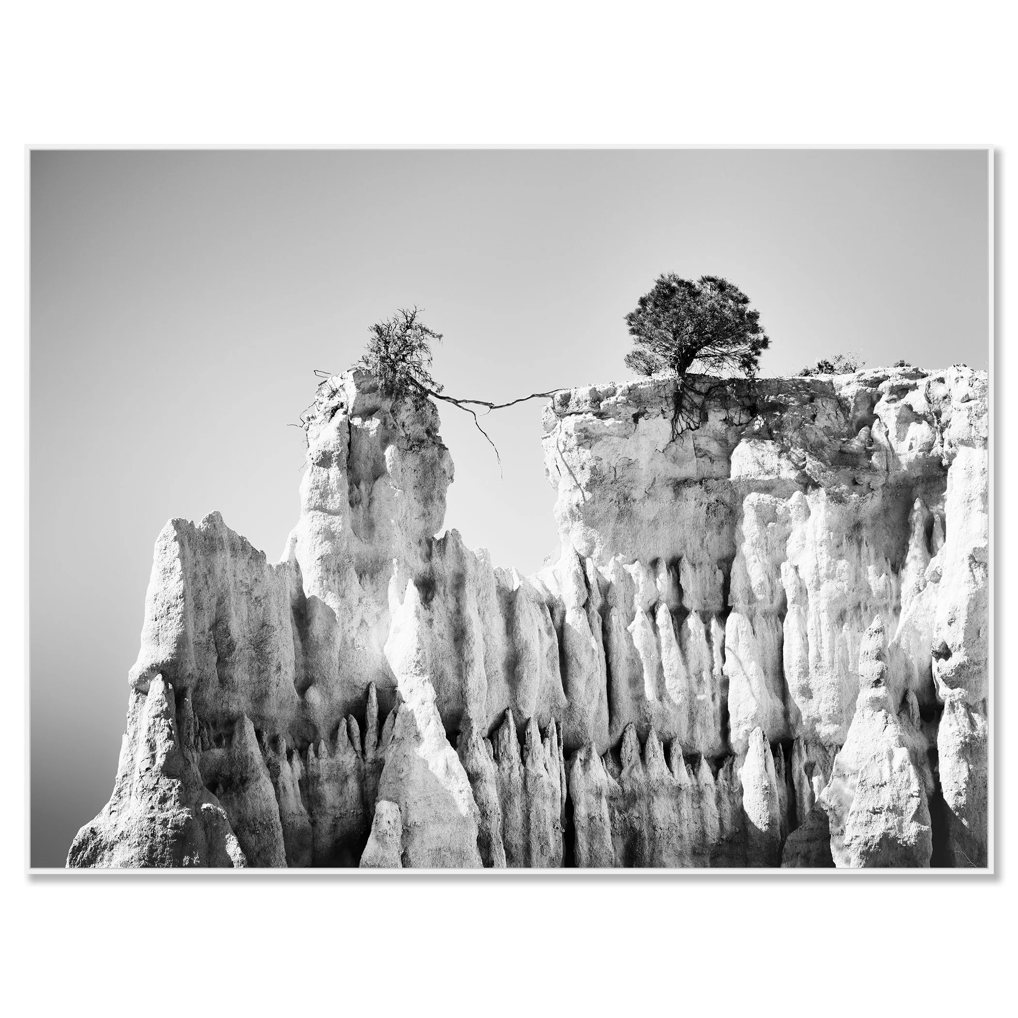 Black-and-white abstract cliff photograph with two trees on the edge, one leaning and connected by a branch – framed ArtBox white
