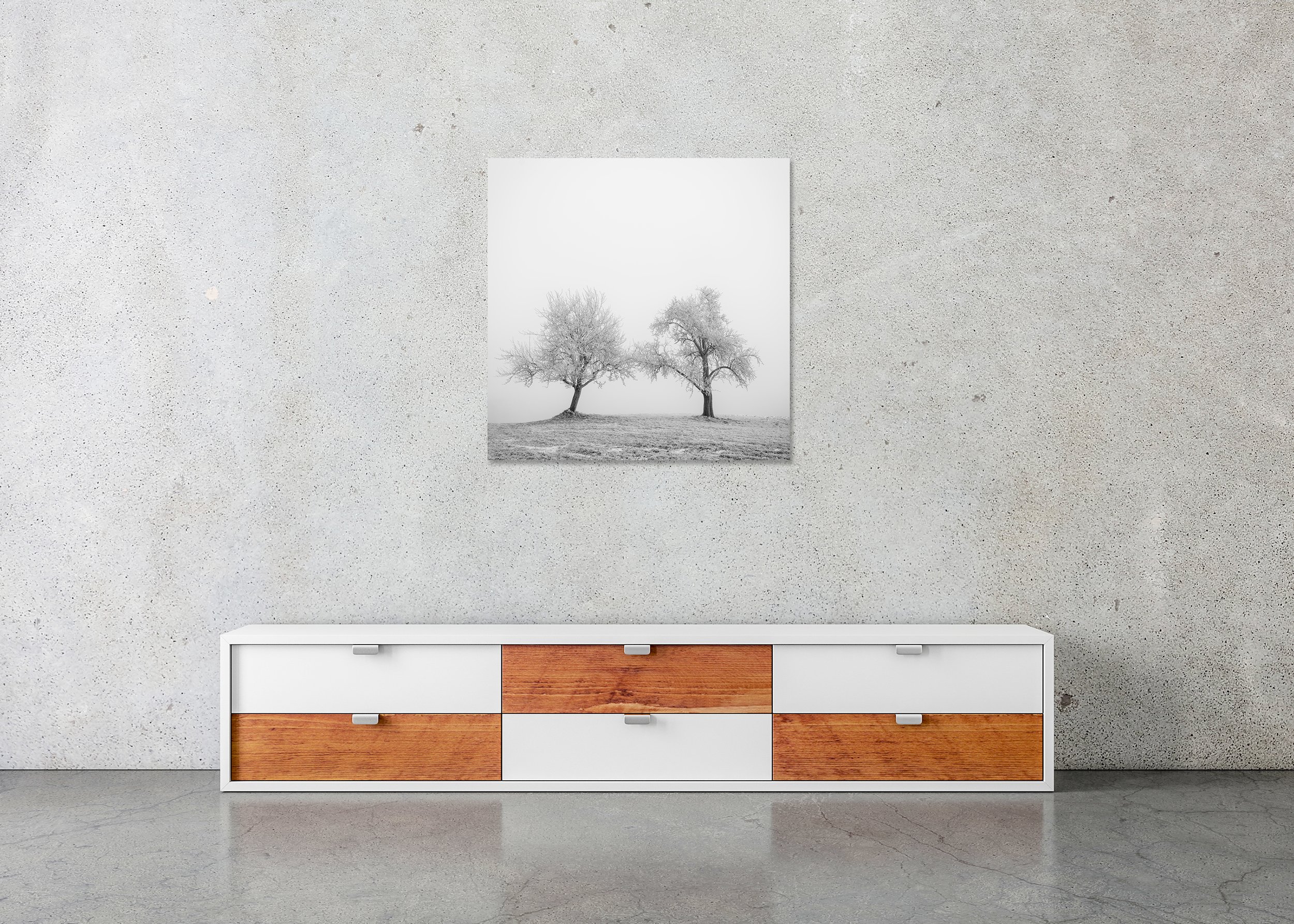 Hoarfrosted Trees Study 1 displayed in a modern interior as a frameless black-and-white aluminium Dibond print by Gerald Berghammer.