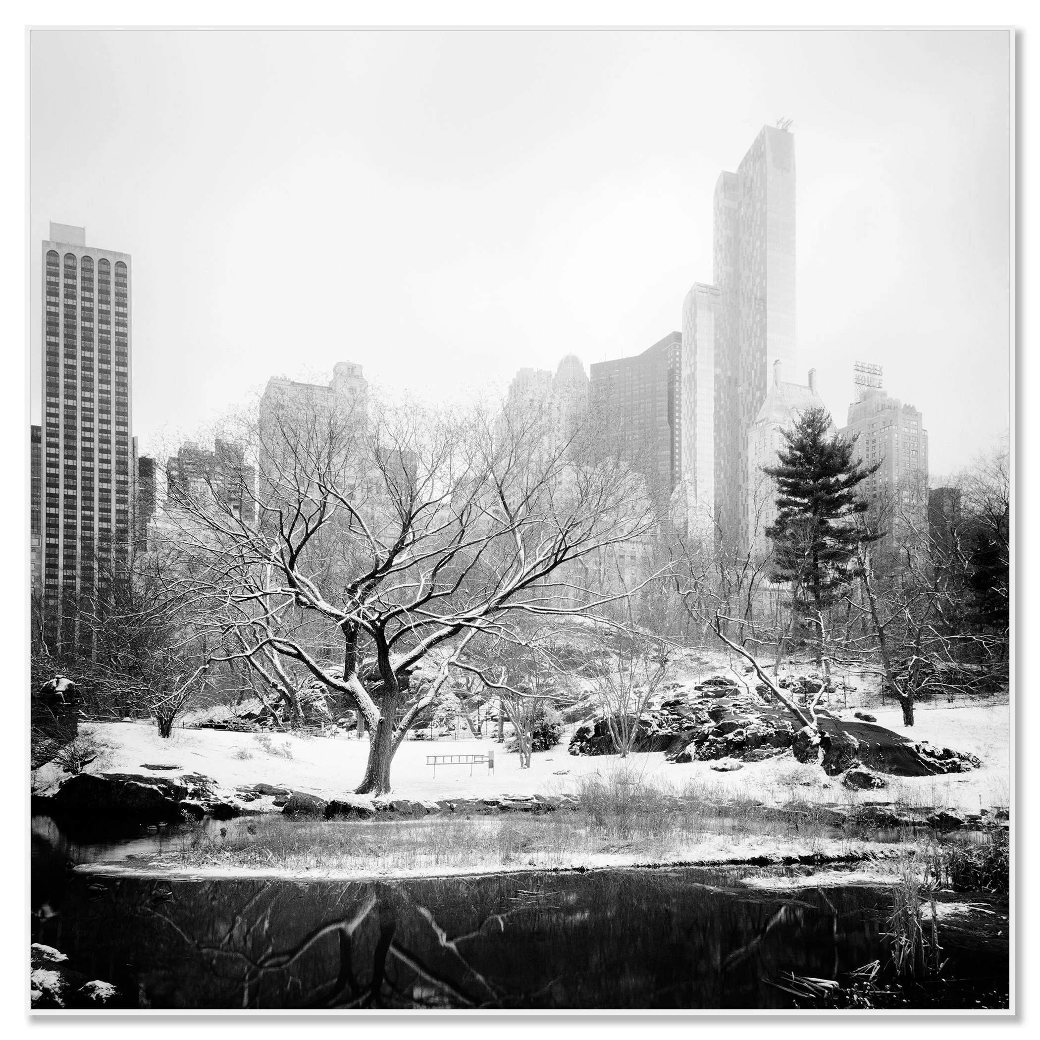 Snow-Covered Central Park Study 7 displayed as a black-and-white Dibond print in a white aluminium ArtBox frame by Gerald Berghammer.