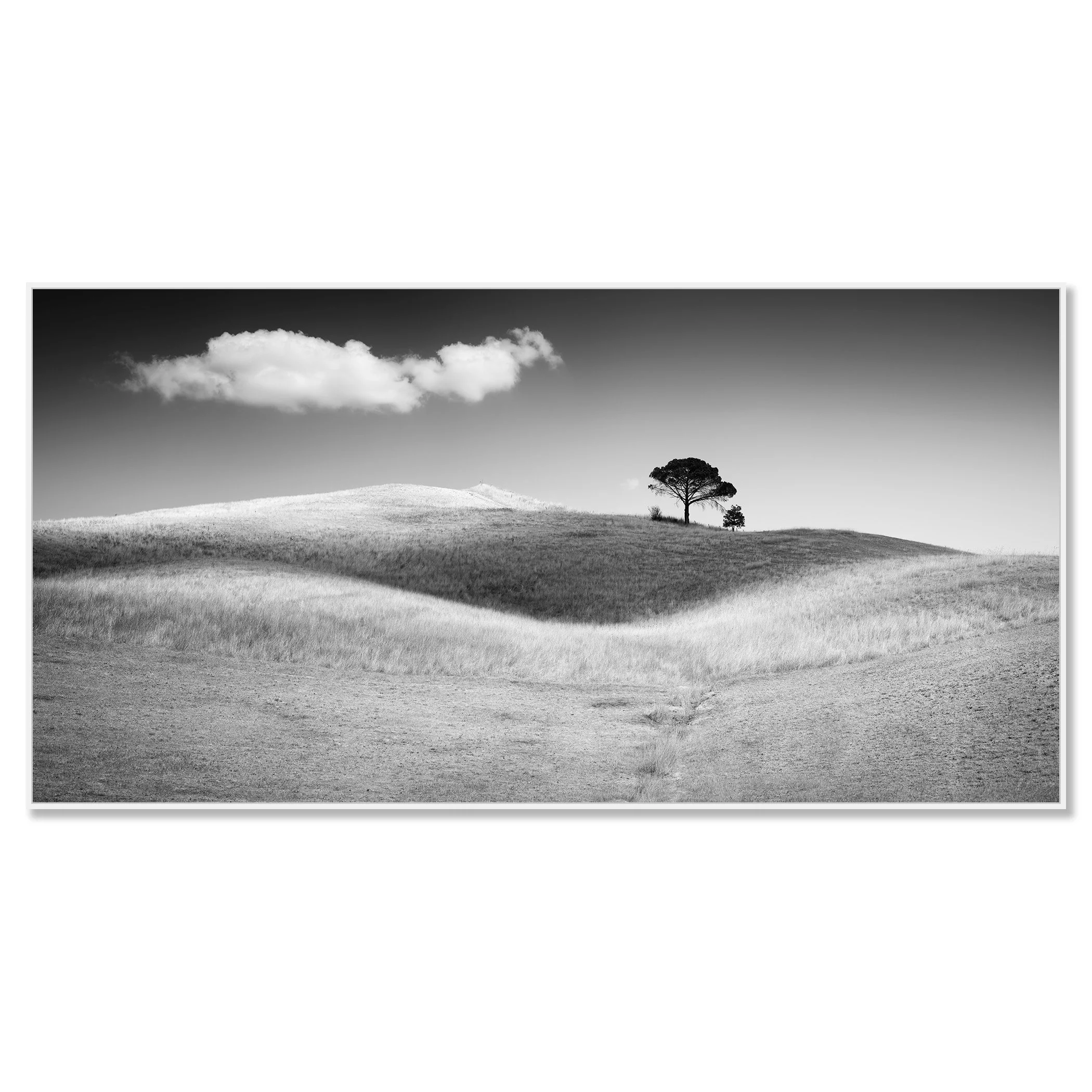 Black and white landscape with rolling hills, a lone tree and a cloud in the sky – framed ArtBox white