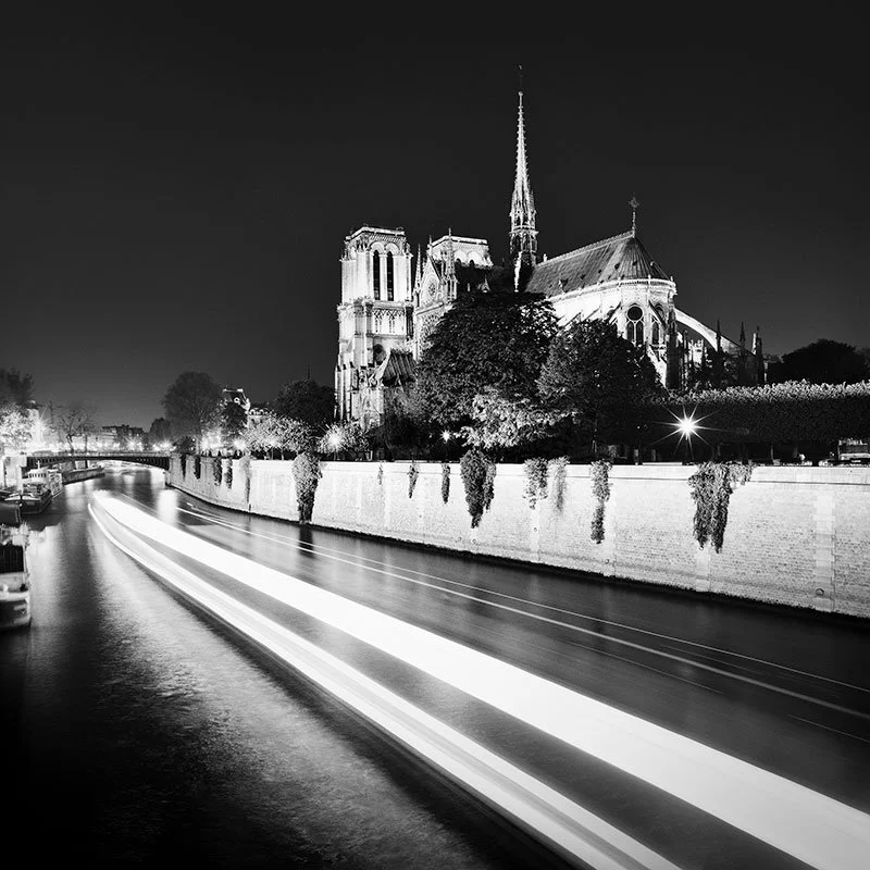 Notre-Dame Night Study 1 – Paris, France | Gerald Berghammer