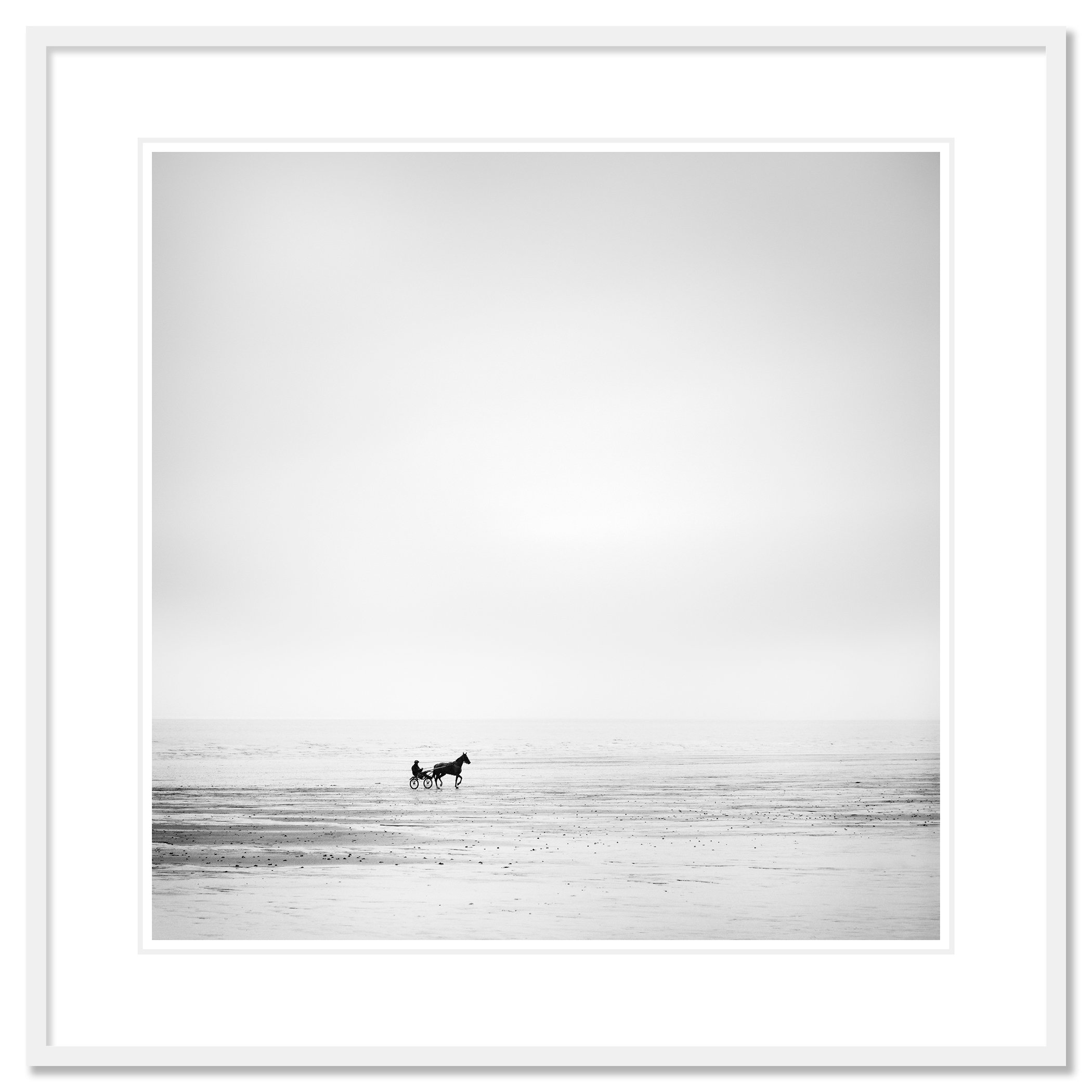 Harness Racing Horse on Empty Beach by Gerald Berghammer in a white aluminium frame with white mount.