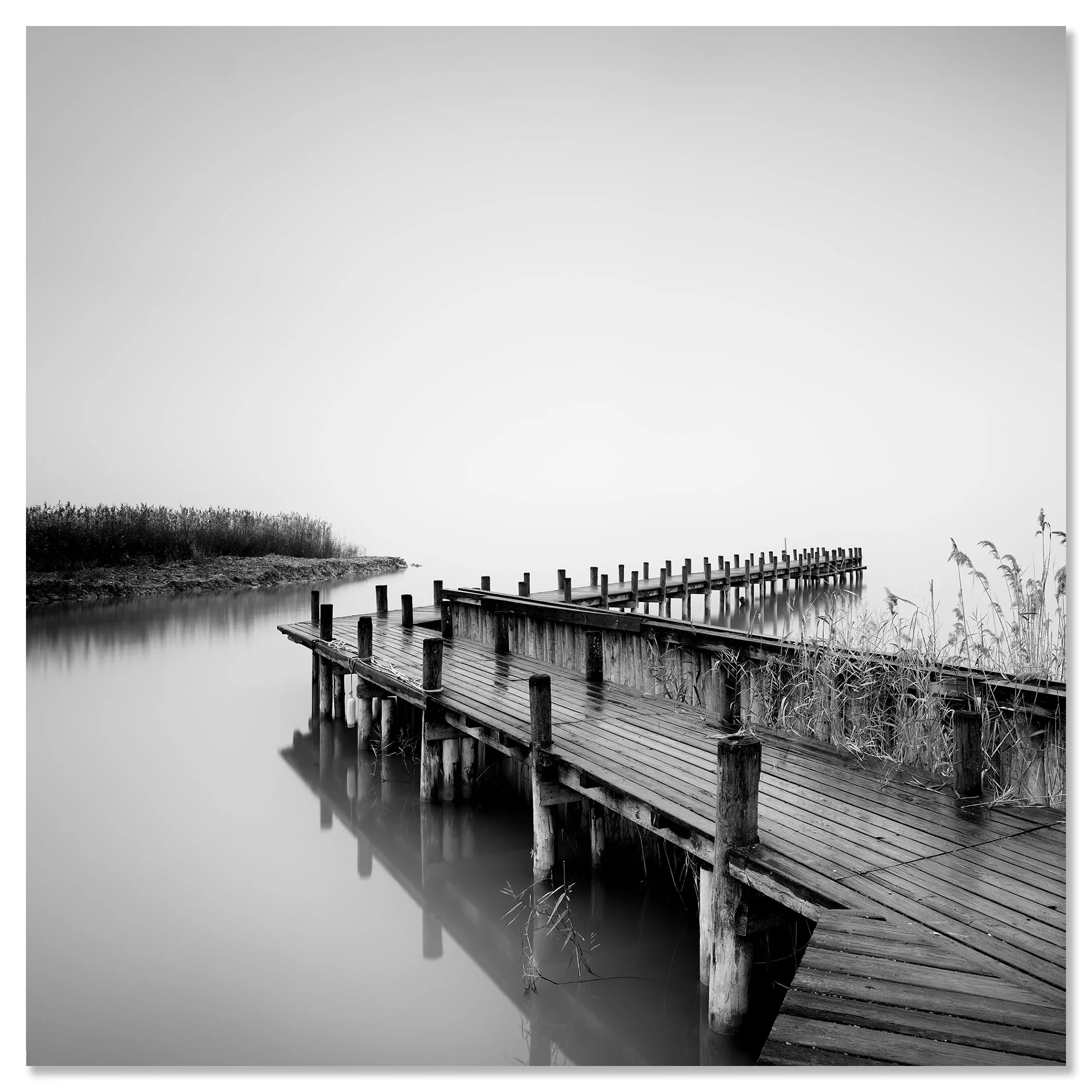 Minimalist black and white wall art showing a wooden jetty on still water with reeds at the edge – dibond frameless