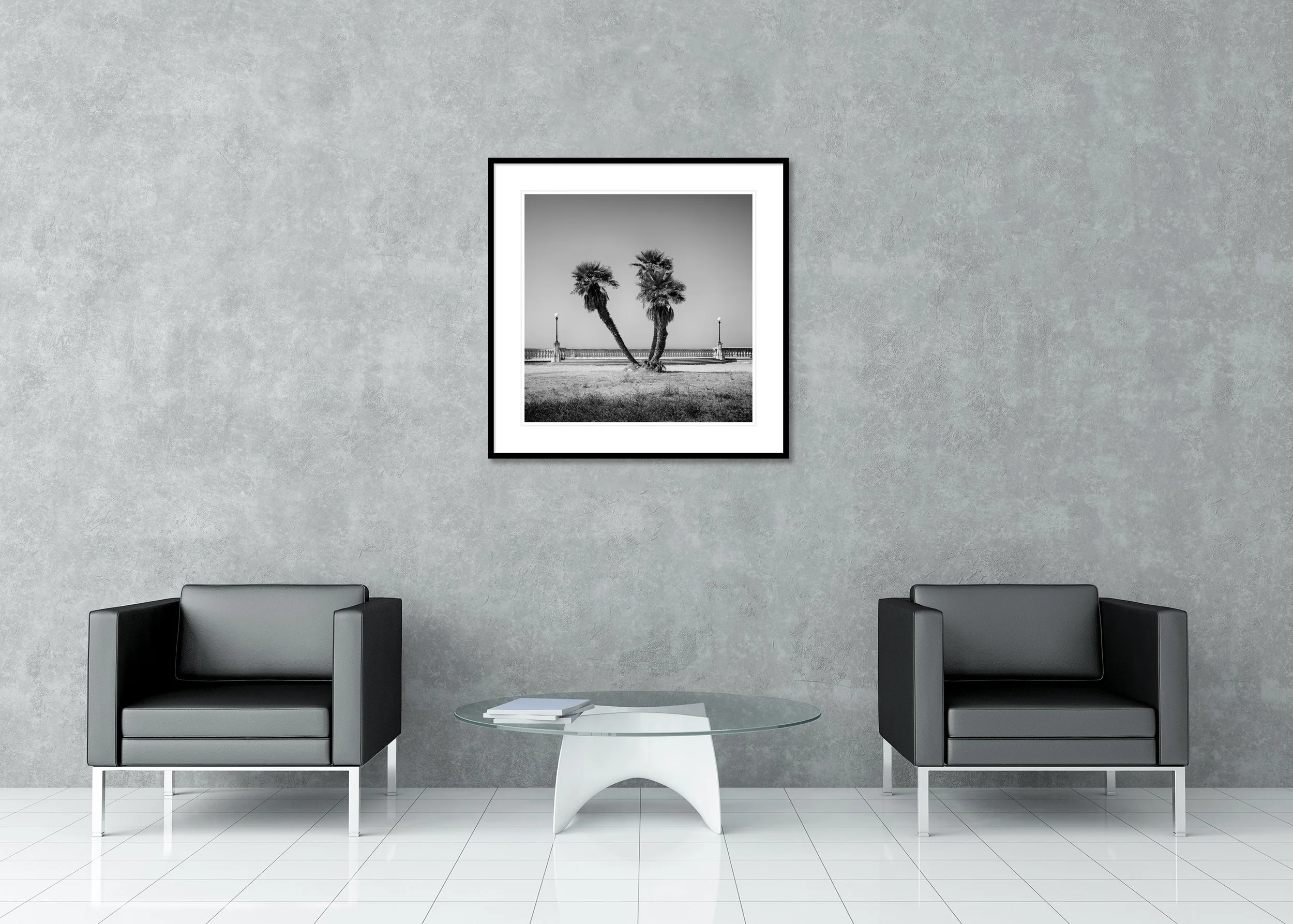 Classic framed archival pigment print with passe-partout featuring a monochrome photograph of palm trees on the Terrazza Mascagni promenade, Tuscany, Italy