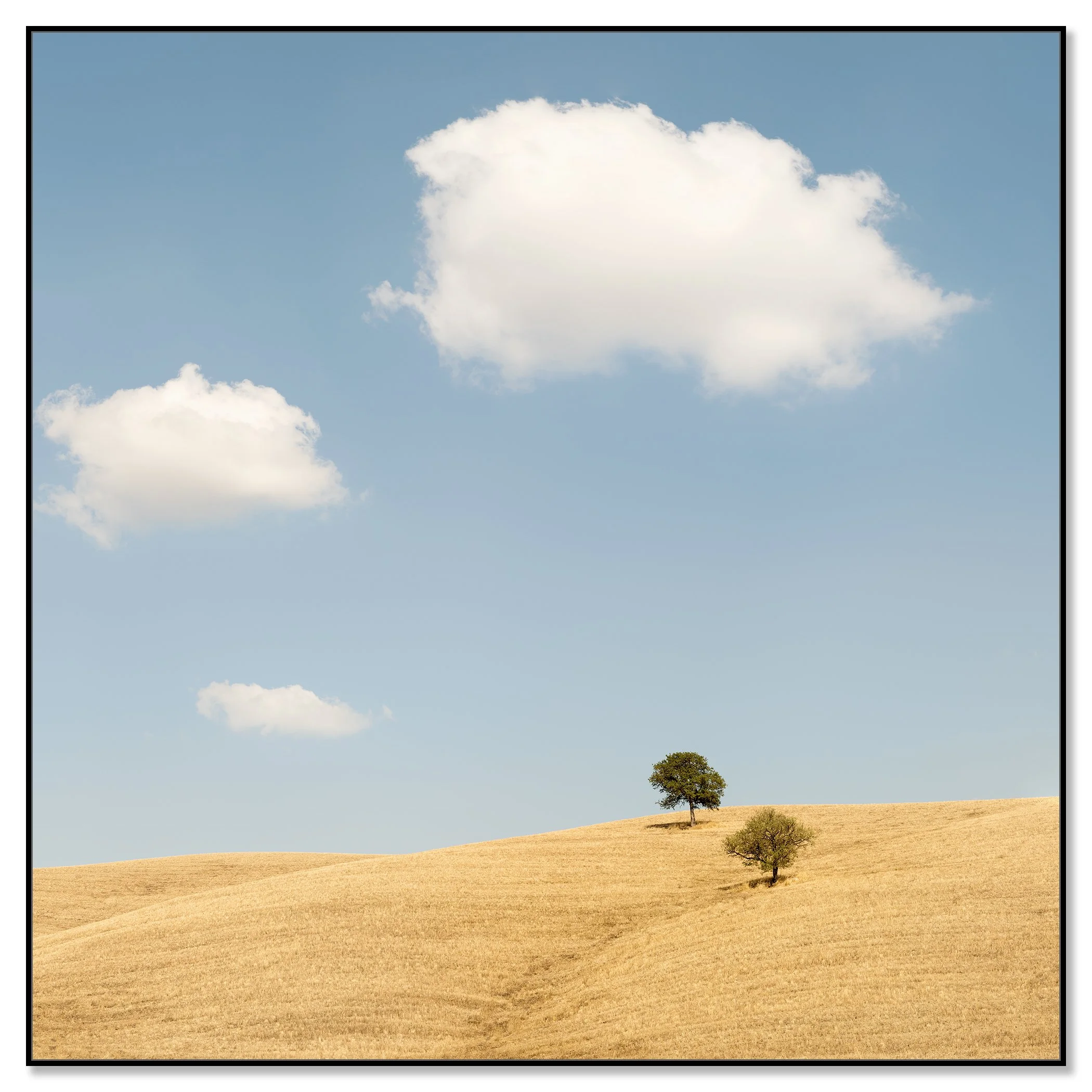 Minimal Tuscany landscape showing golden hills, lone trees and white clouds on a sunny day – framed ArtBox black