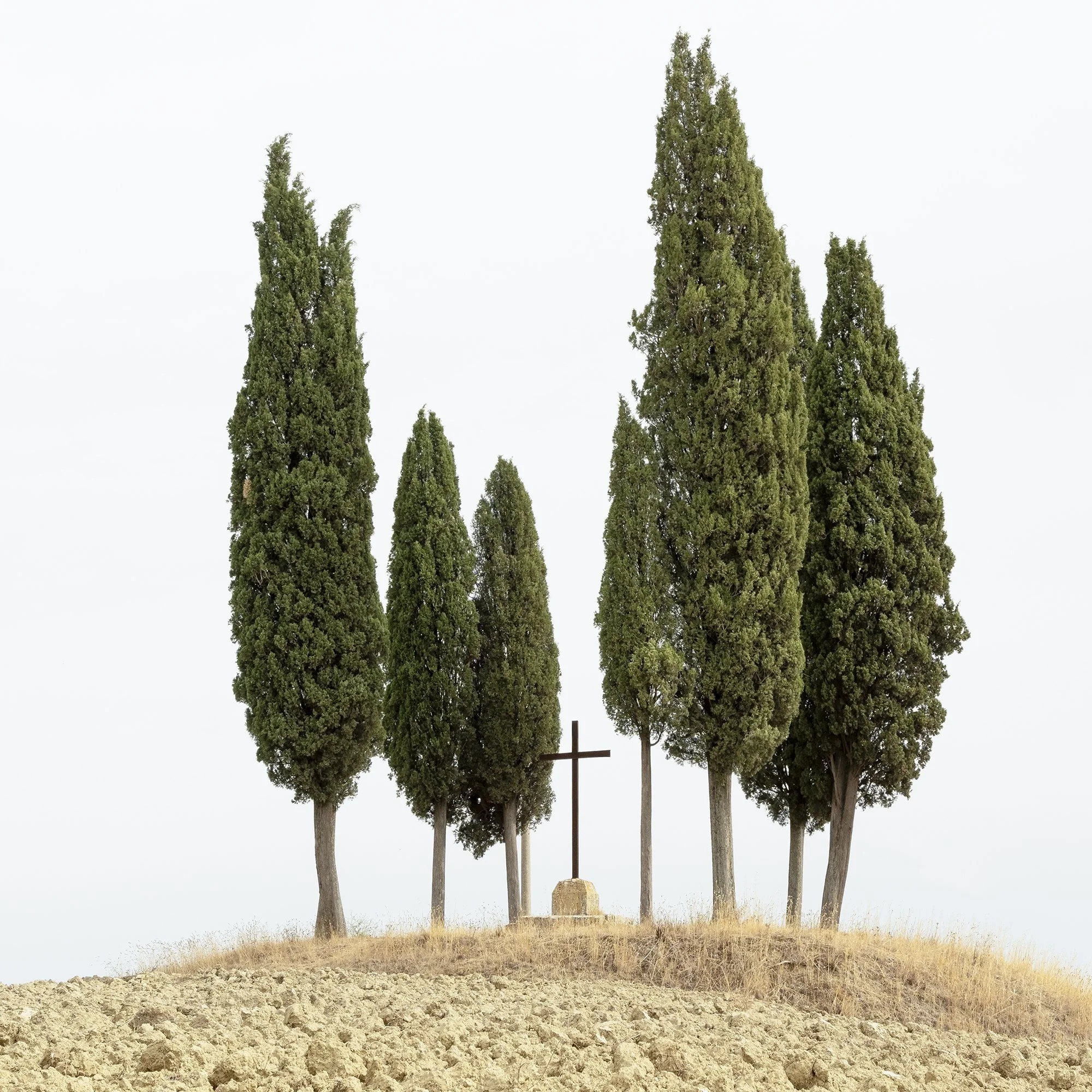 Gerald Berghammer - Color minimalist landscape photography. A small group of tall, slender cypress trees on a dry, barren hilltop against a cloudy sky. Print detail 3