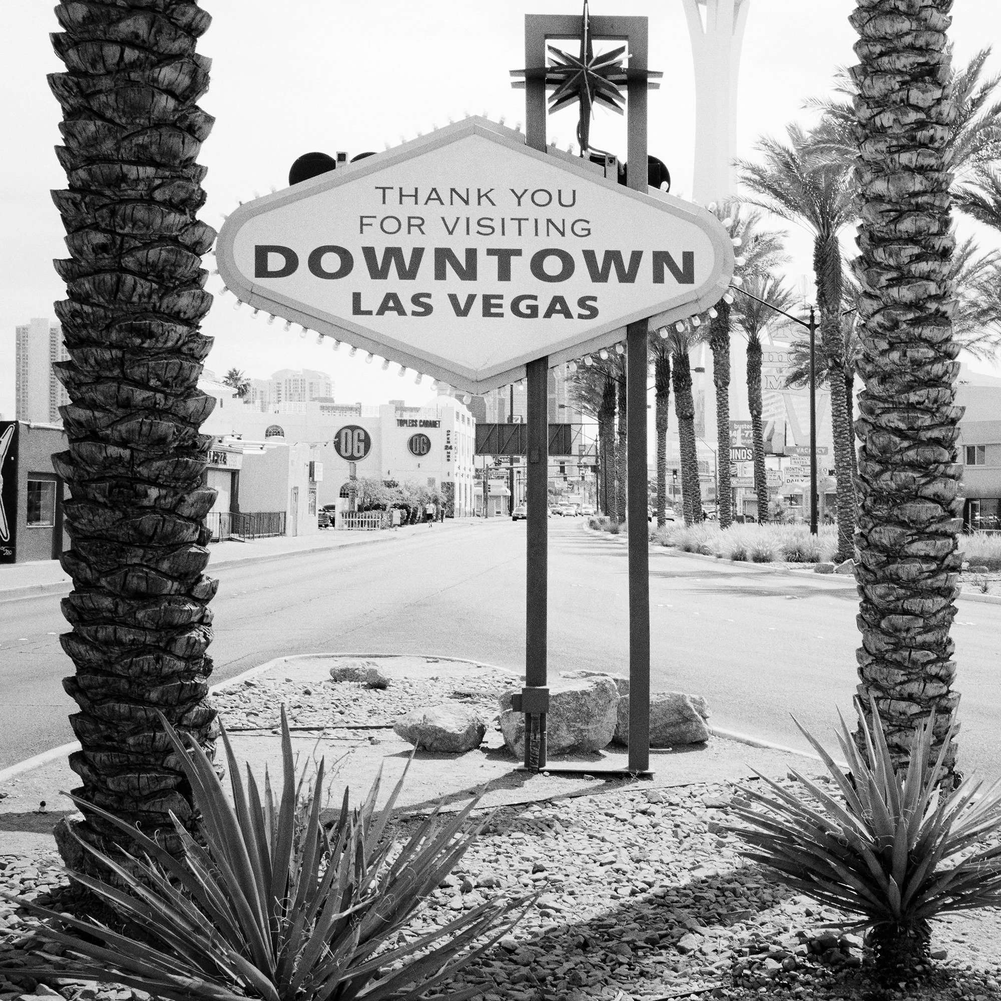 Gerald Berghammer - Black and white desert cityscape photography. Las Vegas Welcome Sign, with palm trees lining the street and the Stratosphere Tower. Print detail 3