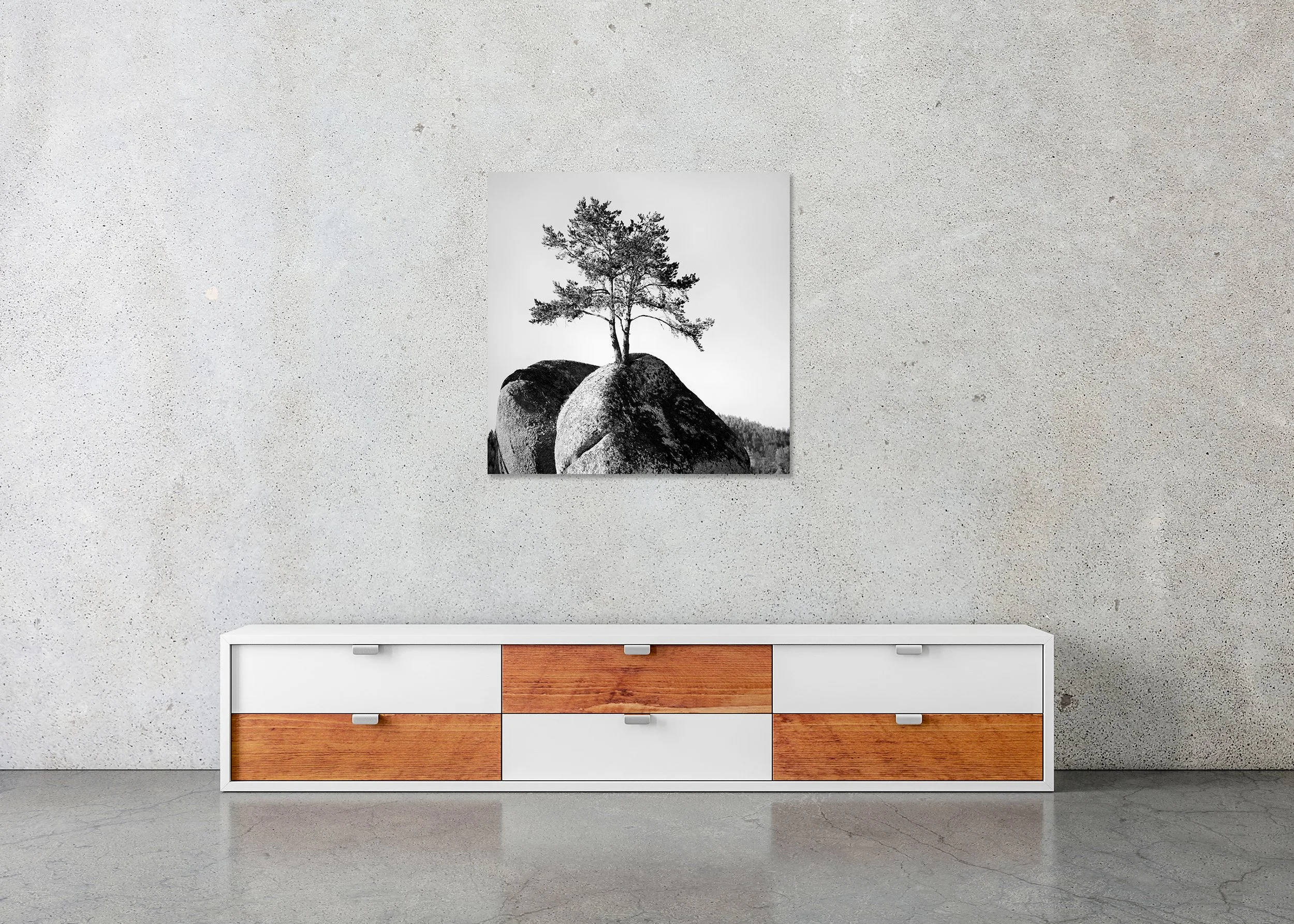 ChromaLuxe frameless metal print showing a black and white photo of a solitary pine tree on a rocky boulder, minimalist landscape.