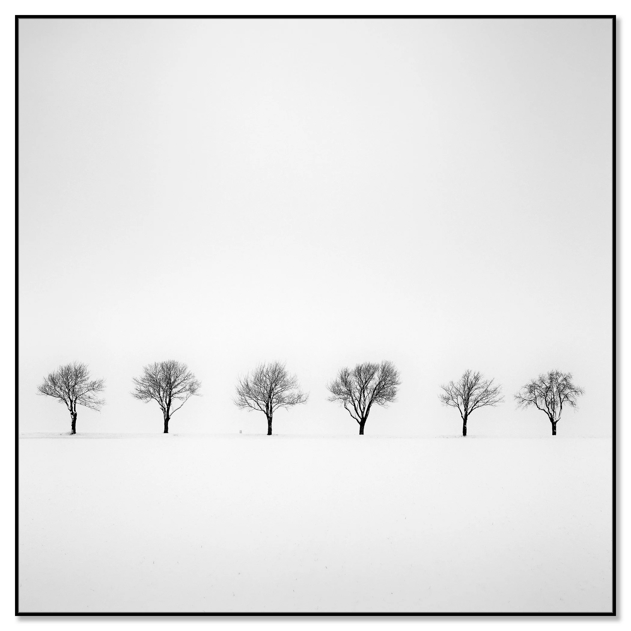 Minimalist winter landscape with trees in a snowy field on a misty morning in Austria – framed ArtBox black