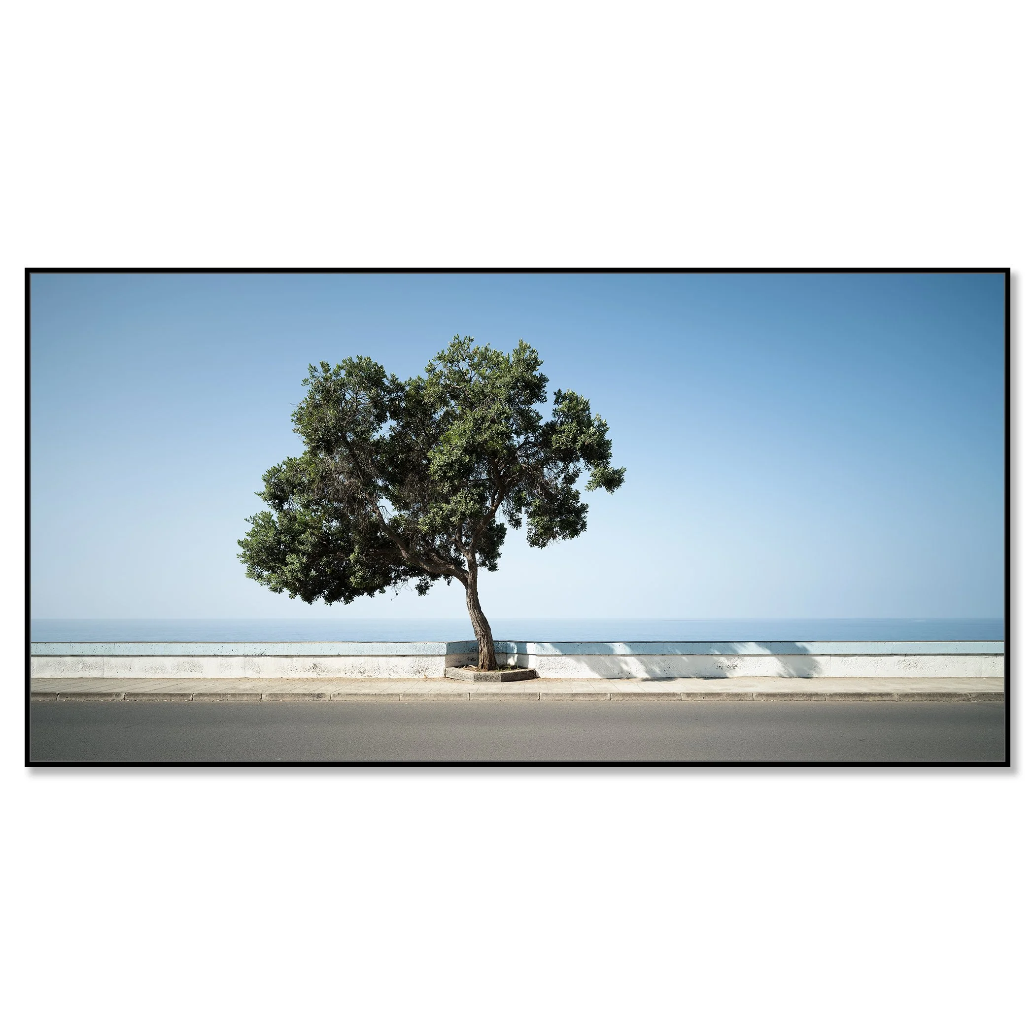Tree by the Calm Sea, Panorama Study 2 – colour photograph on Dibond in a black aluminium ArtBox, by Gerald Berghammer.