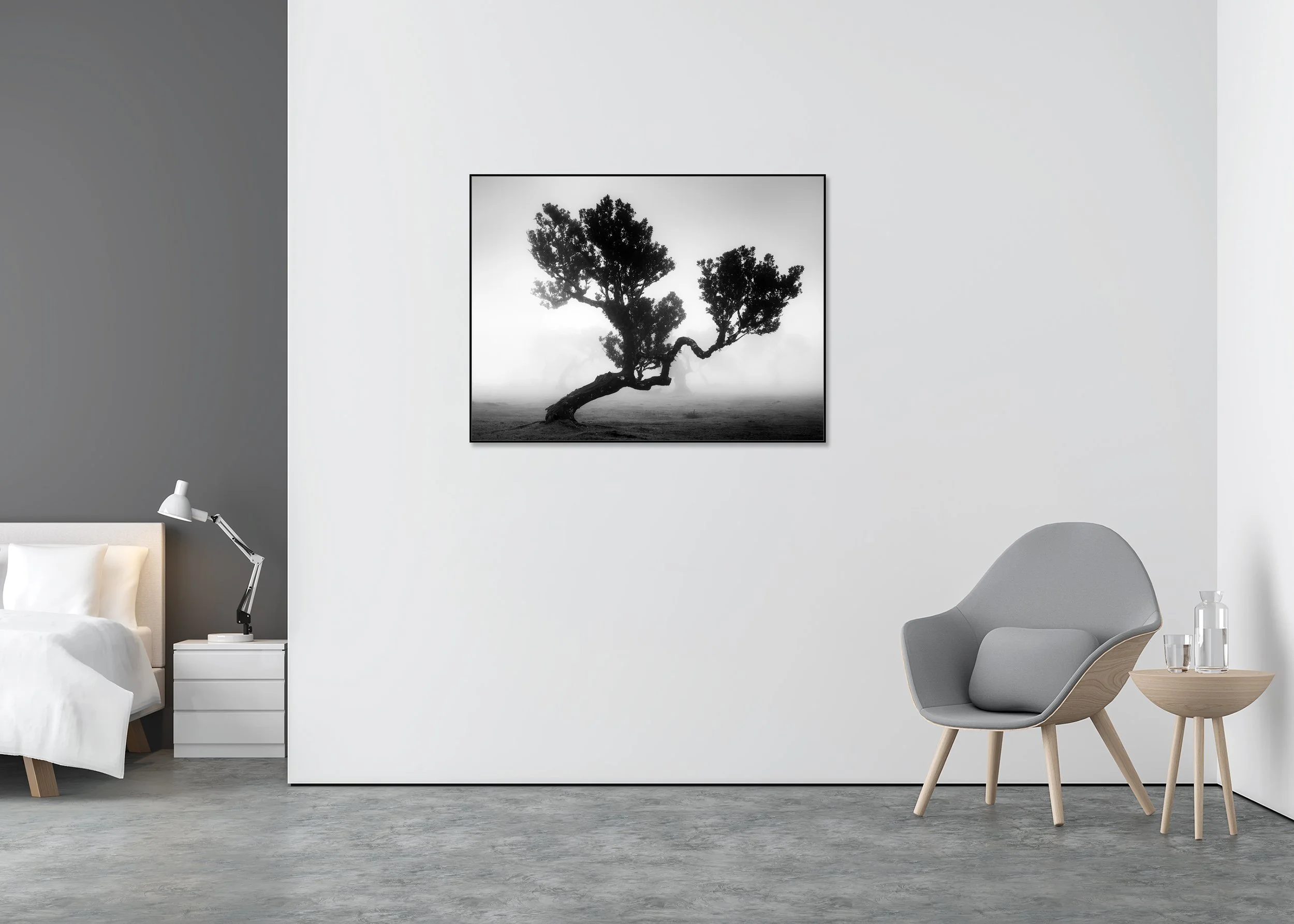 Ancient Laurisilva Forest, Study 3 by Gerald Berghammer, black-and-white Dibond print in a black aluminium ArtBox displayed in a minimalist bedroom.