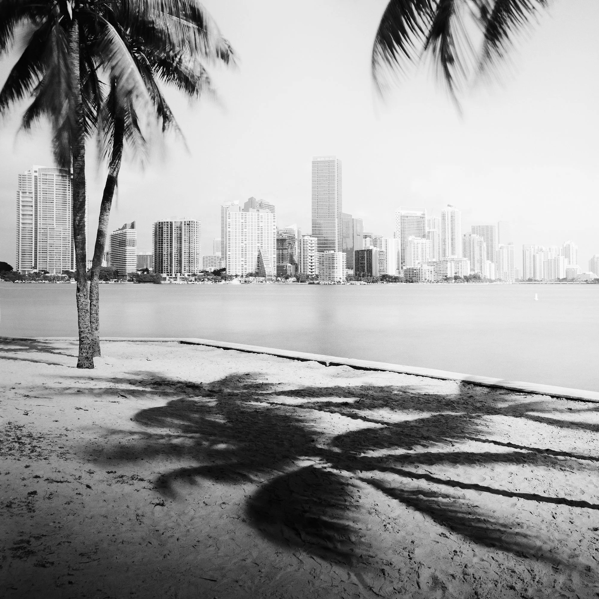 Gerald Berghammer - Black and white cityscape photography. Beach with palm trees in the foreground and the city skyline of Miami Beach in the background. Print detail 1