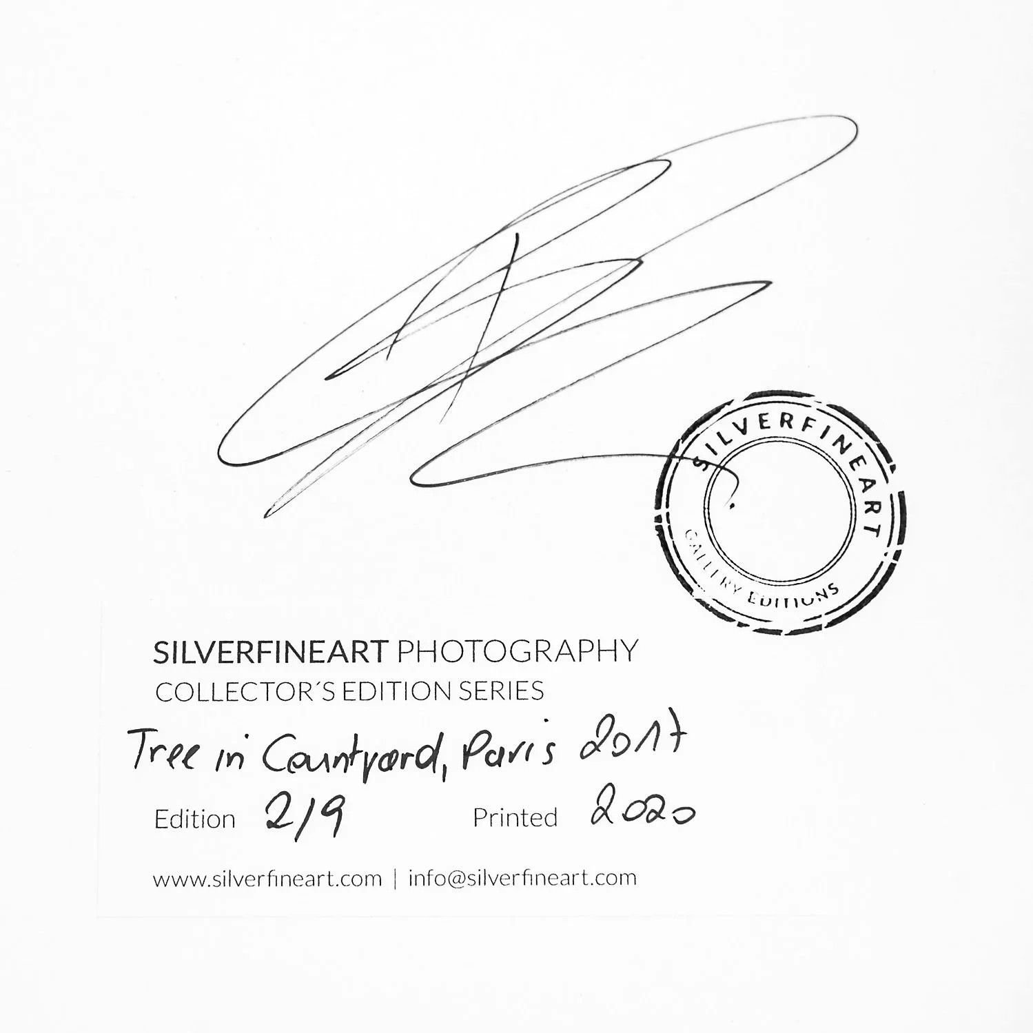 Gerald Berghammer – Tree in the Courtyard, artist's signature, SILVERFINEART authenticity stamp, edition 2/9 and print year 2020.