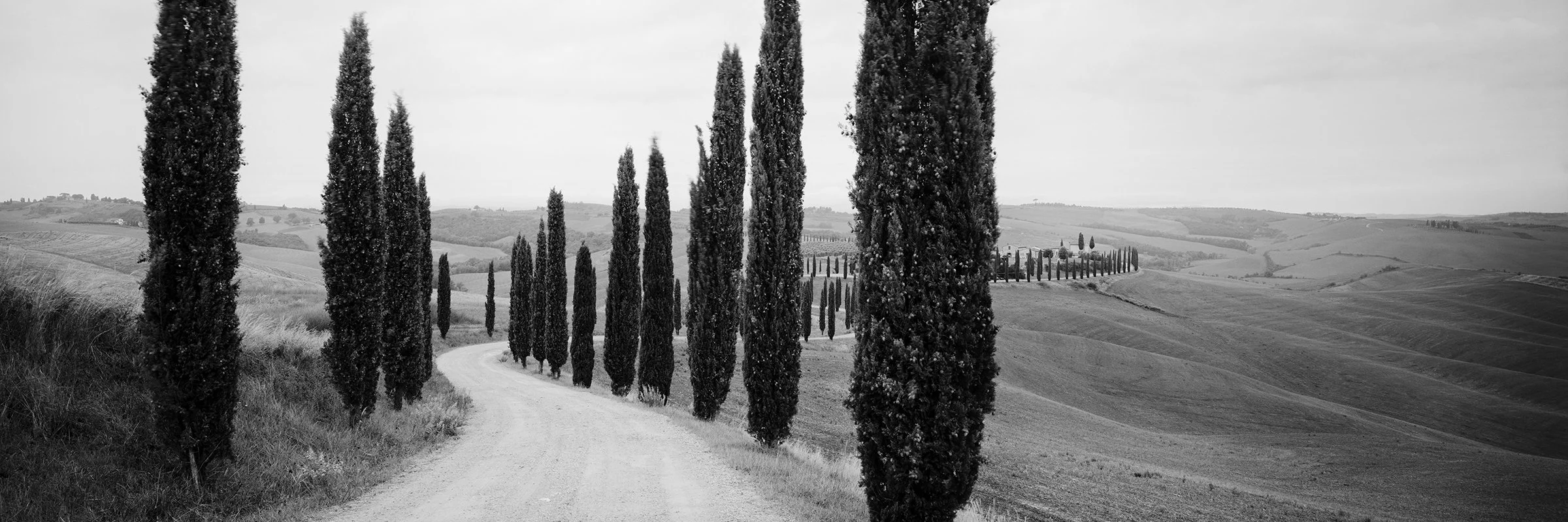 Black and white photograph of a winding country road lined with tall cypress trees through rolling Tuscan hills.