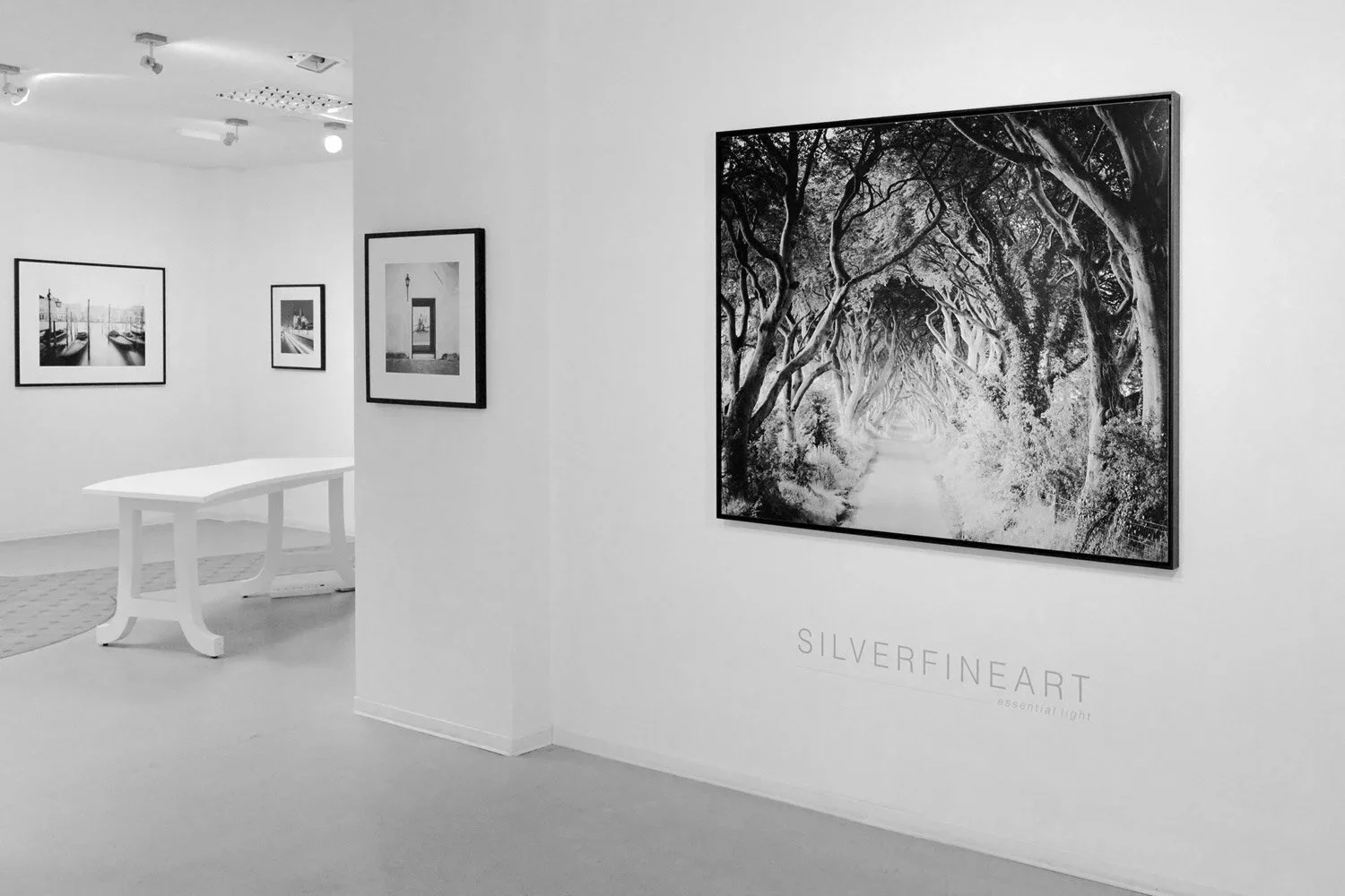 Interior of ESSENTIAL LIGHT 2018 at Galerie STP in Greifswald, displaying black-and-white landscape and architectural photographs by Gerald Berghammer.