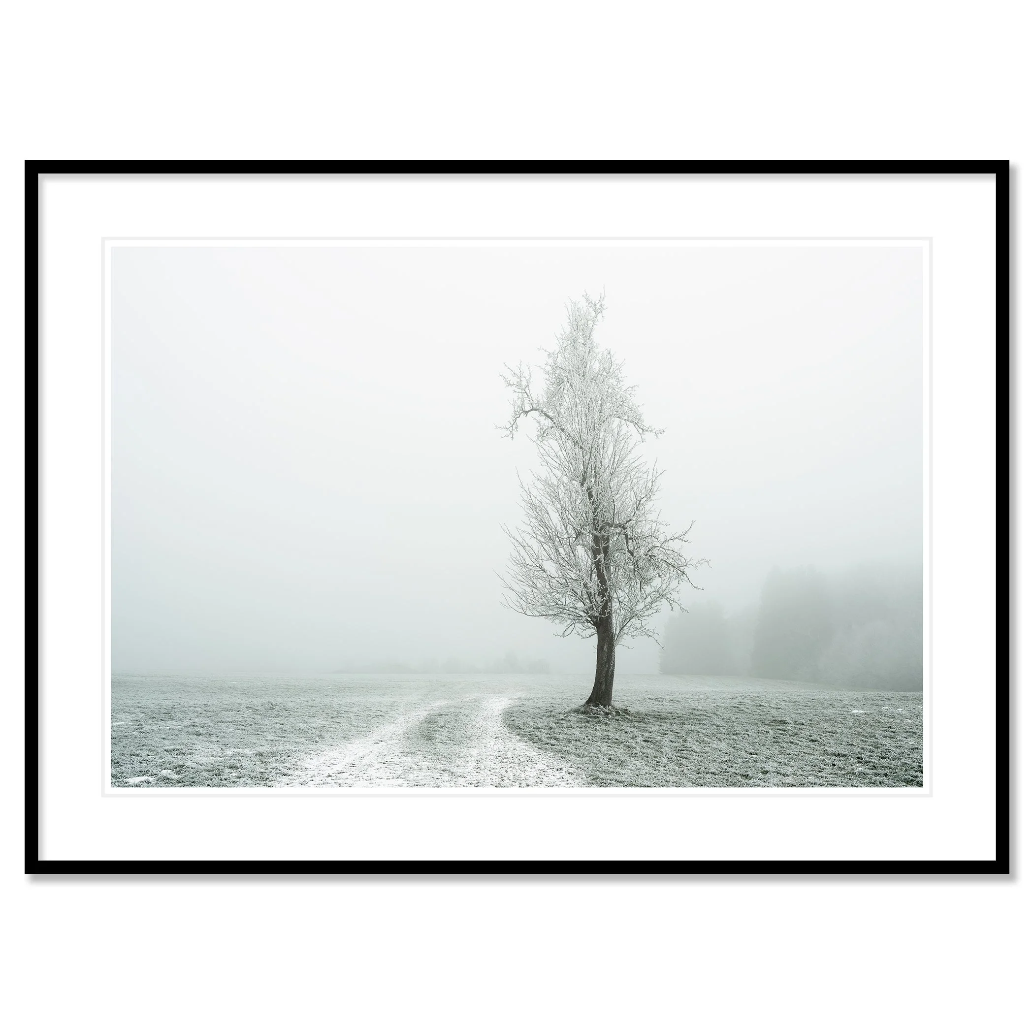 Gerald Berghammer - Color fine art photography. A solitary tree stands in a snow-covered field with a winding path, surrounded by foggy, winter landscape. Classic framed black
