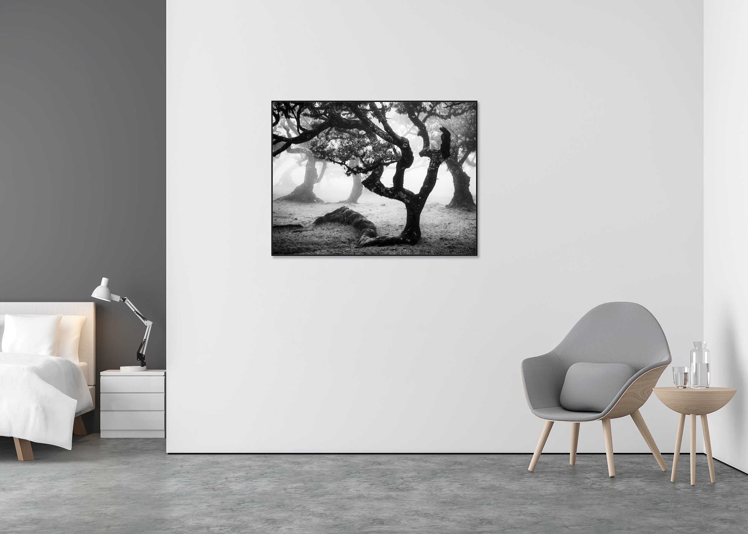 Ancient Laurisilva Forest, Study 13 displayed in a modern interior, mounted on aluminium Dibond in an ArtBox frame by Gerald Berghammer.
