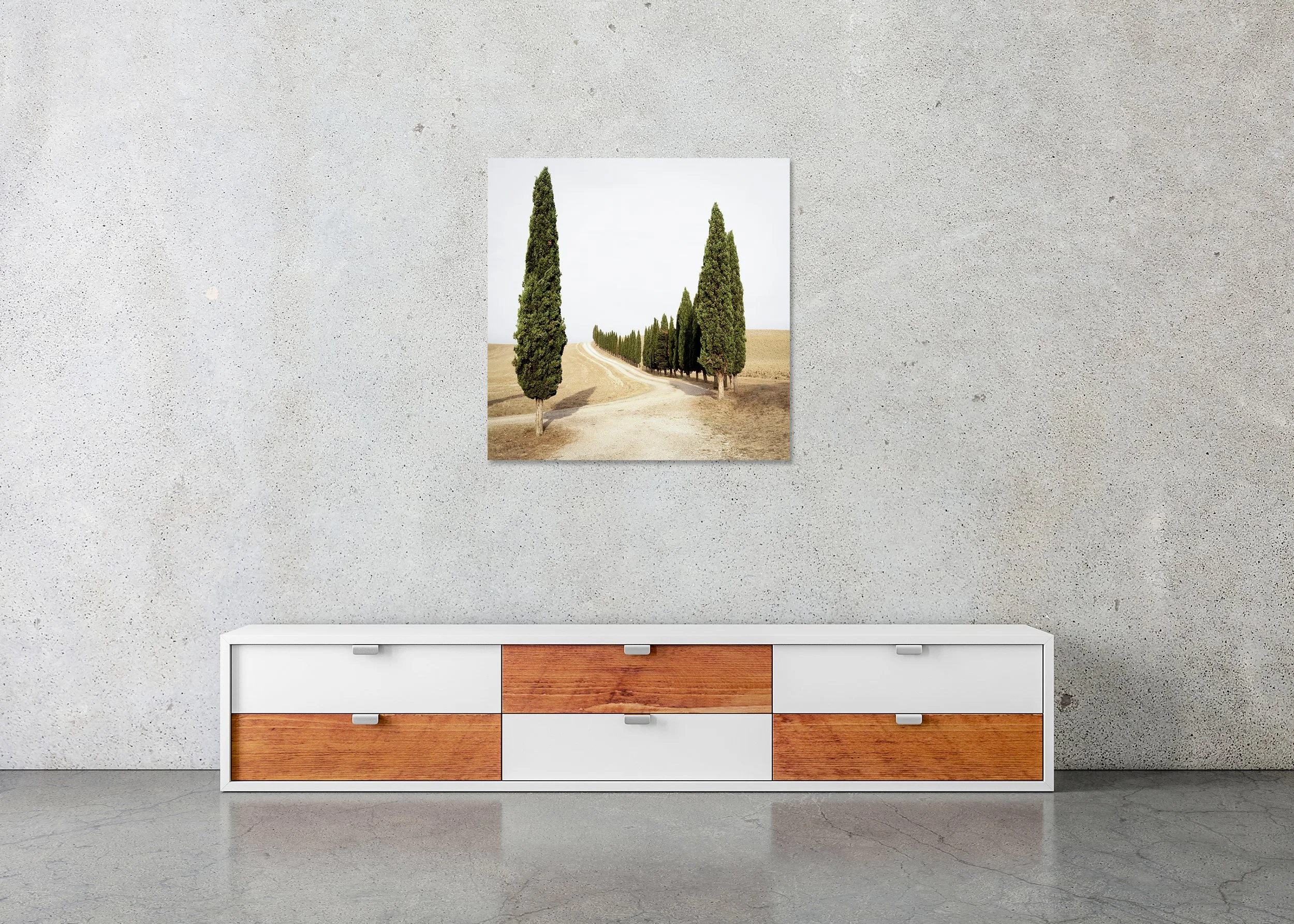 Road with Cypress Trees, Study 1 – frameless colour photograph on aluminium Dibond displayed above a low cabinet.