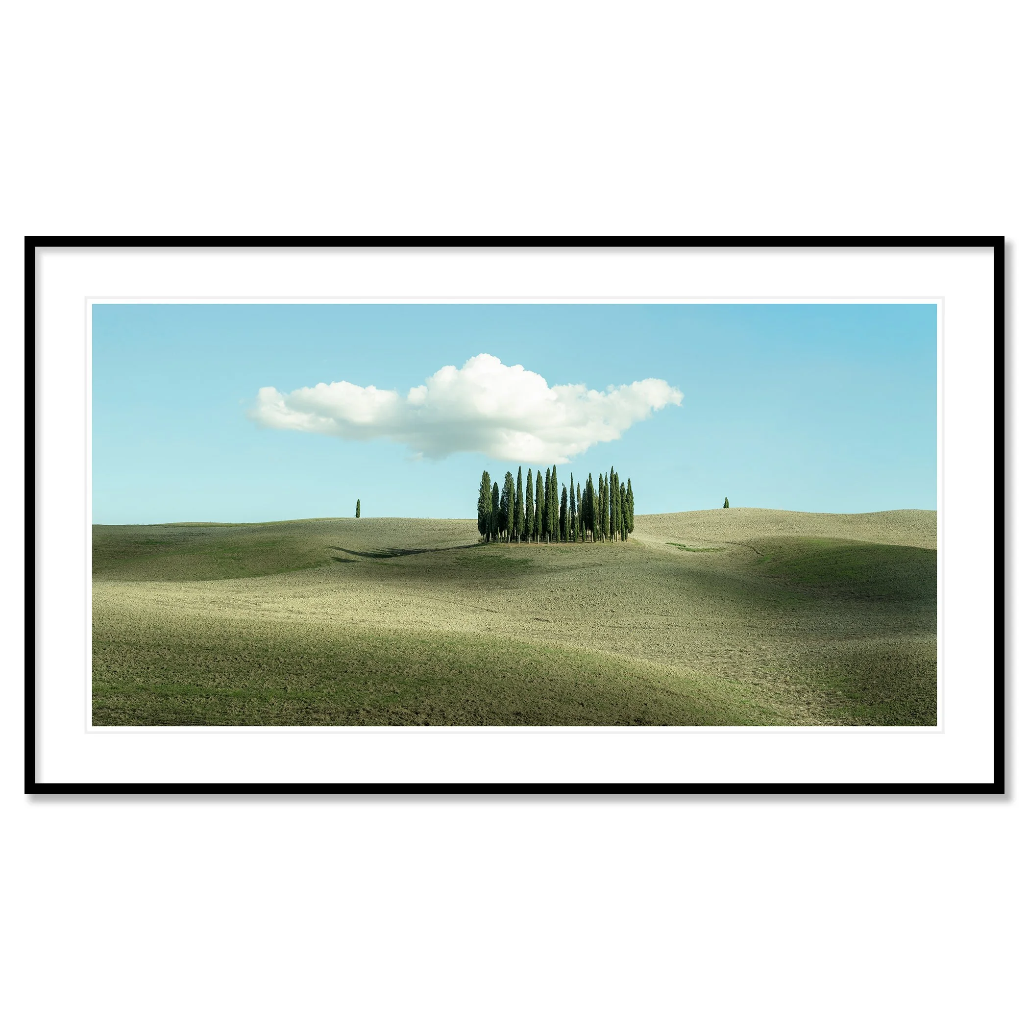 © 2023 Gerald Berghammer - Color minimalist photography. Open landscape with rolling hills, a small cluster of tall, thin green trees, and a large, fluffy cloud in the sky. Classic framed black