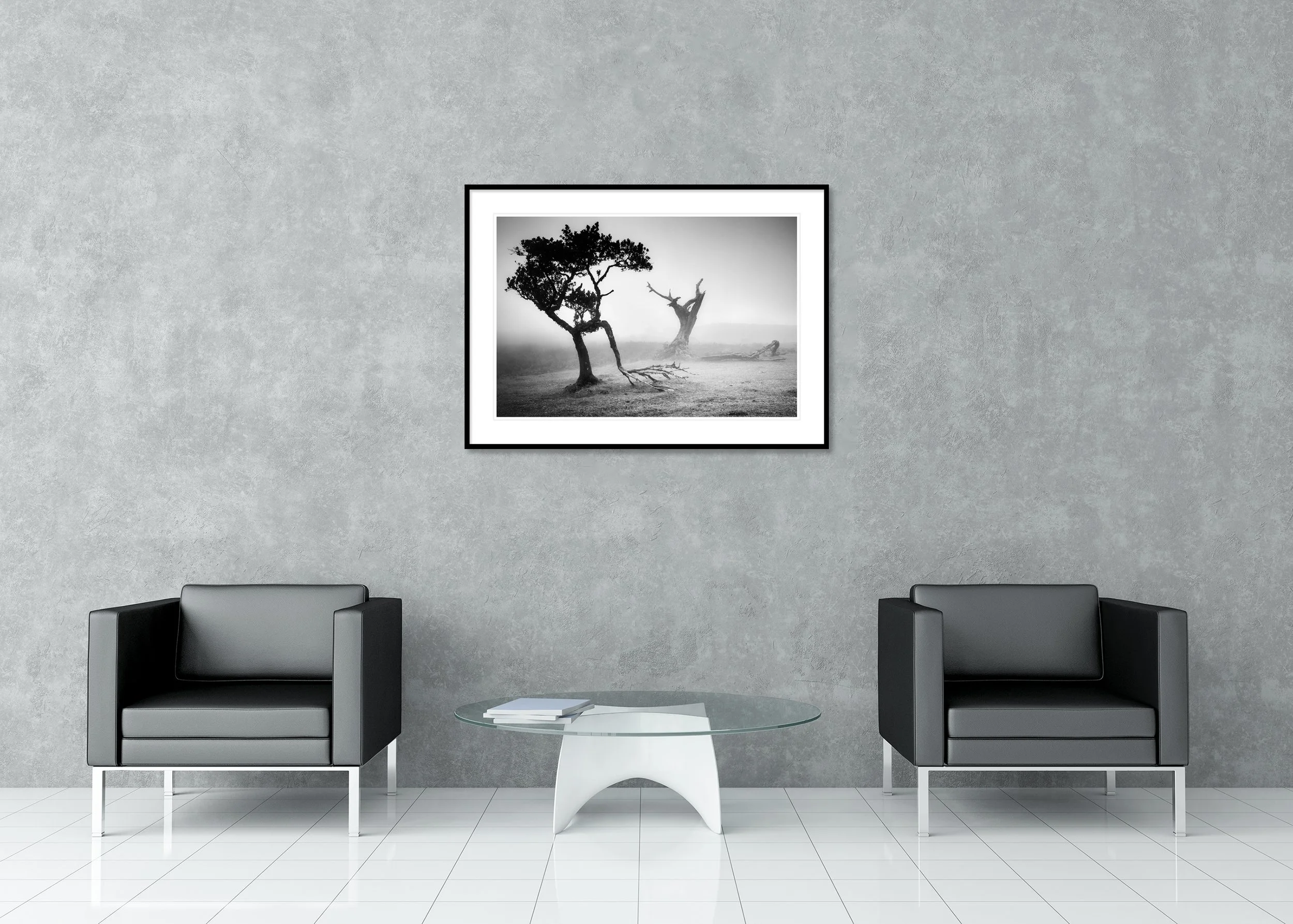 Misty laurisilva forest at Fanal, Madeira Island, Portugal, with a gnarled tree and open meadow in dense fog, archival pigment print in classic frame with passe-partout