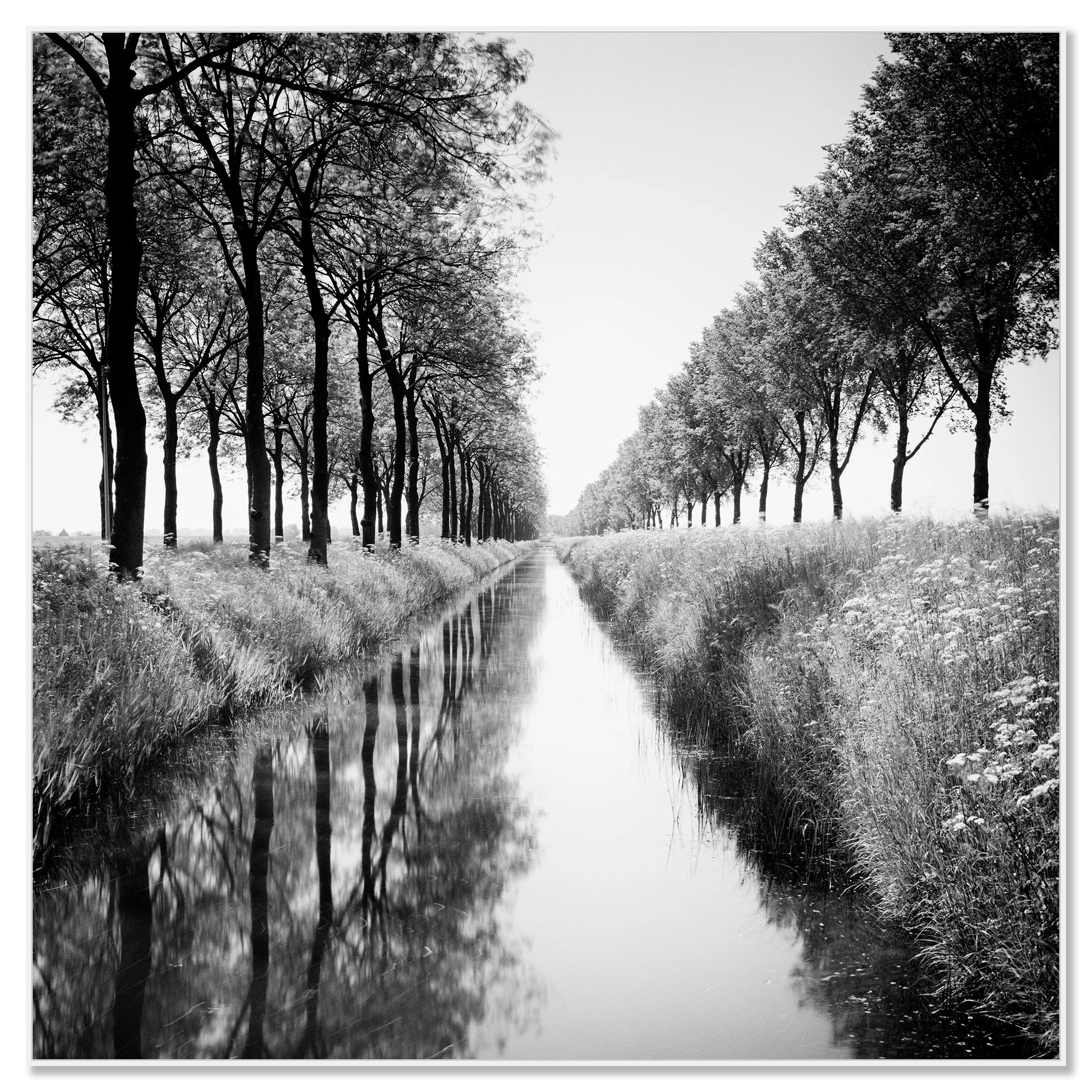 Gracht Study 1, Netherlands black-and-white photograph in a white aluminium ArtBox frame