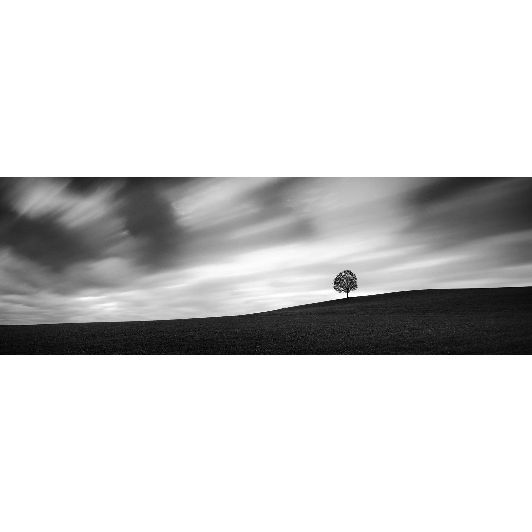 Turbulent Times Panorama Study 1 by Gerald Berghammer, black-and-white panoramic fine art print of a solitary tree beneath dramatic clouds in Austria.