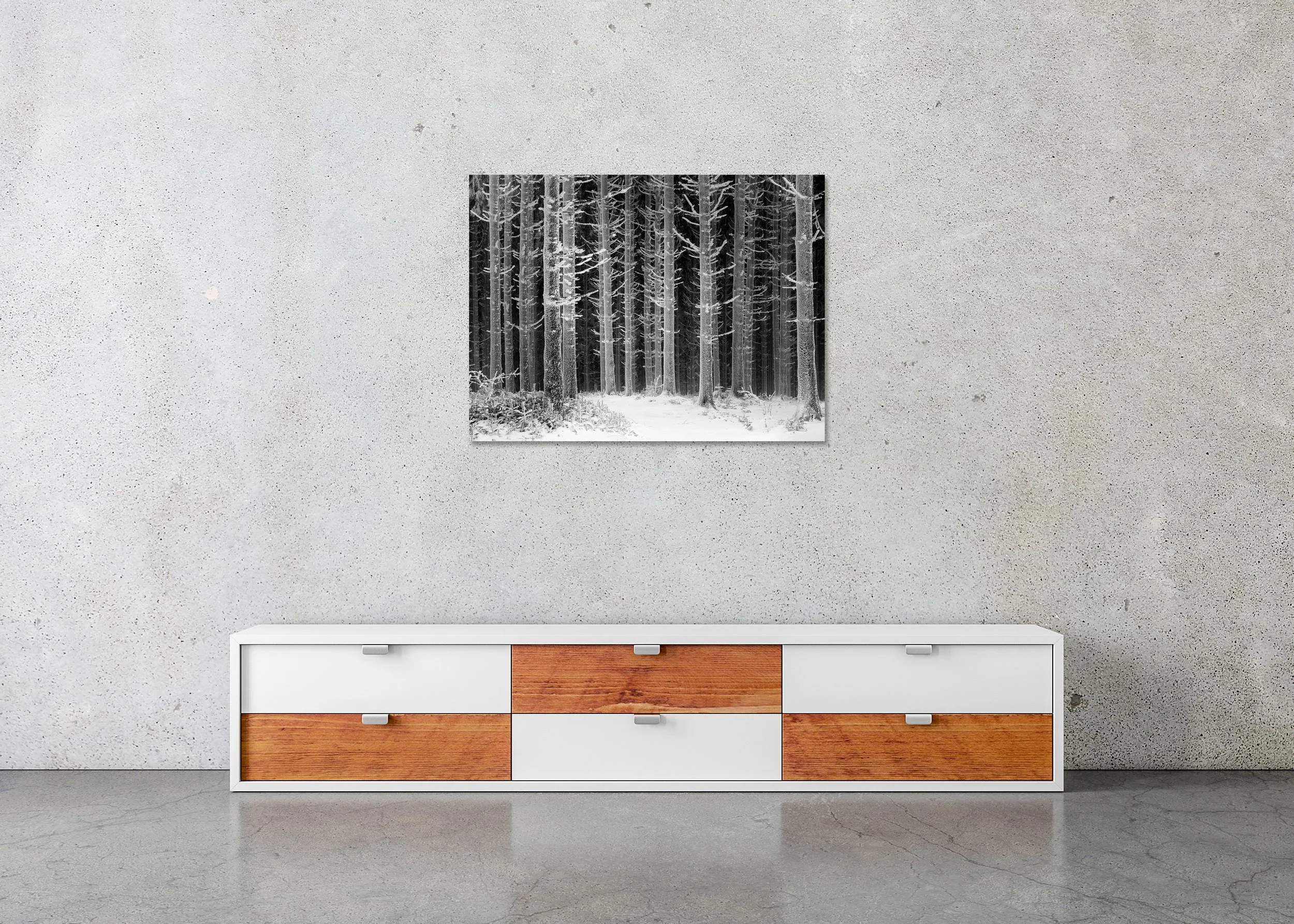 Path Through the Frosted Forest displayed in a modern interior as a frameless black-and-white aluminium Dibond print by Gerald Berghammer.