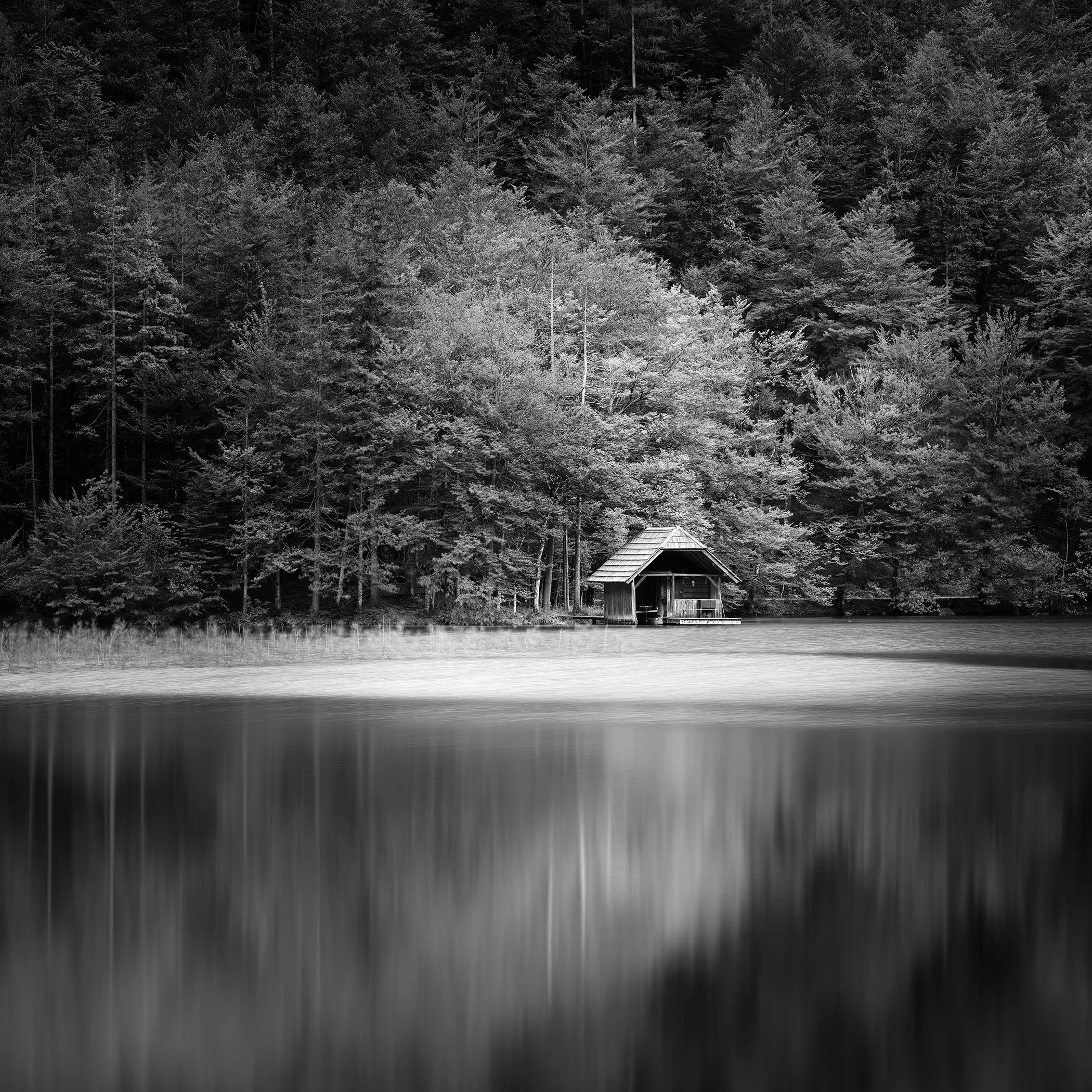 Wooden boathouse surrounded by dense forest beside calm Langbathsee, Austria, in black and white. Photo by Gerald Berghammer.