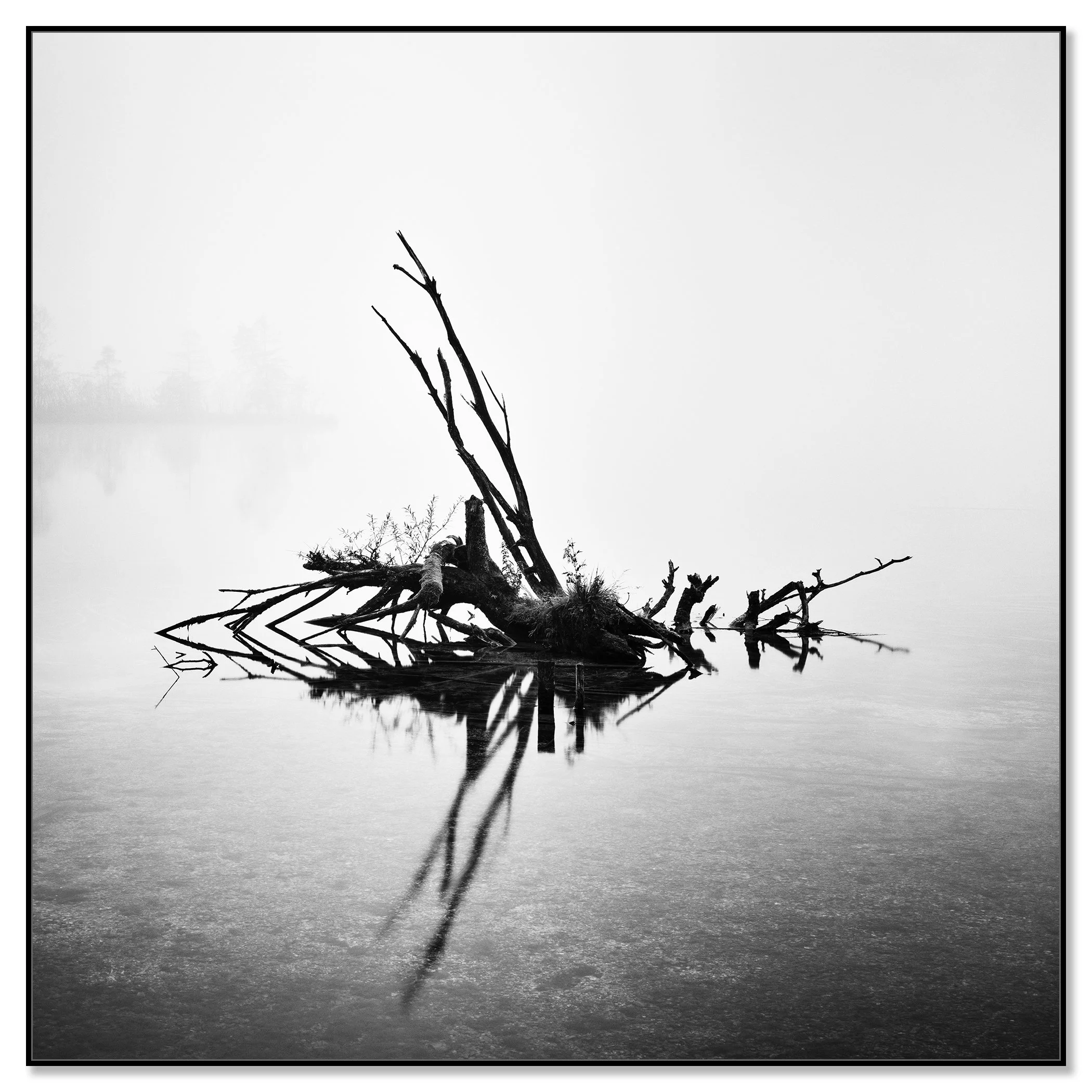 Fallen Tree Study 1 by Gerald Berghammer, black-and-white Almsee waterscape presented in a black aluminium ArtBox frame.