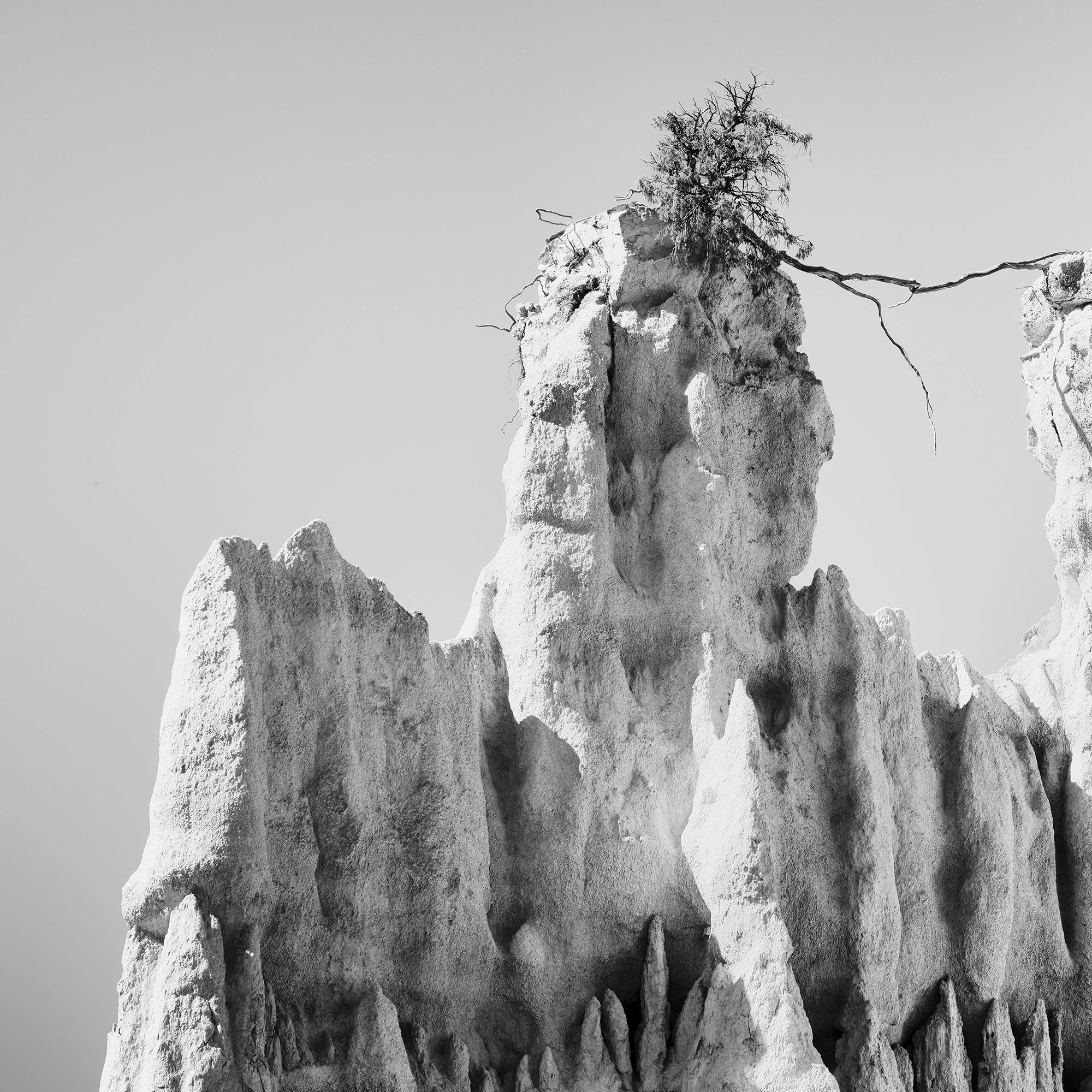 Detail of The Organs of Ille-sur-Tet Study 3 showing a solitary tree on an eroded rock pinnacle in France by Gerald Berghammer.