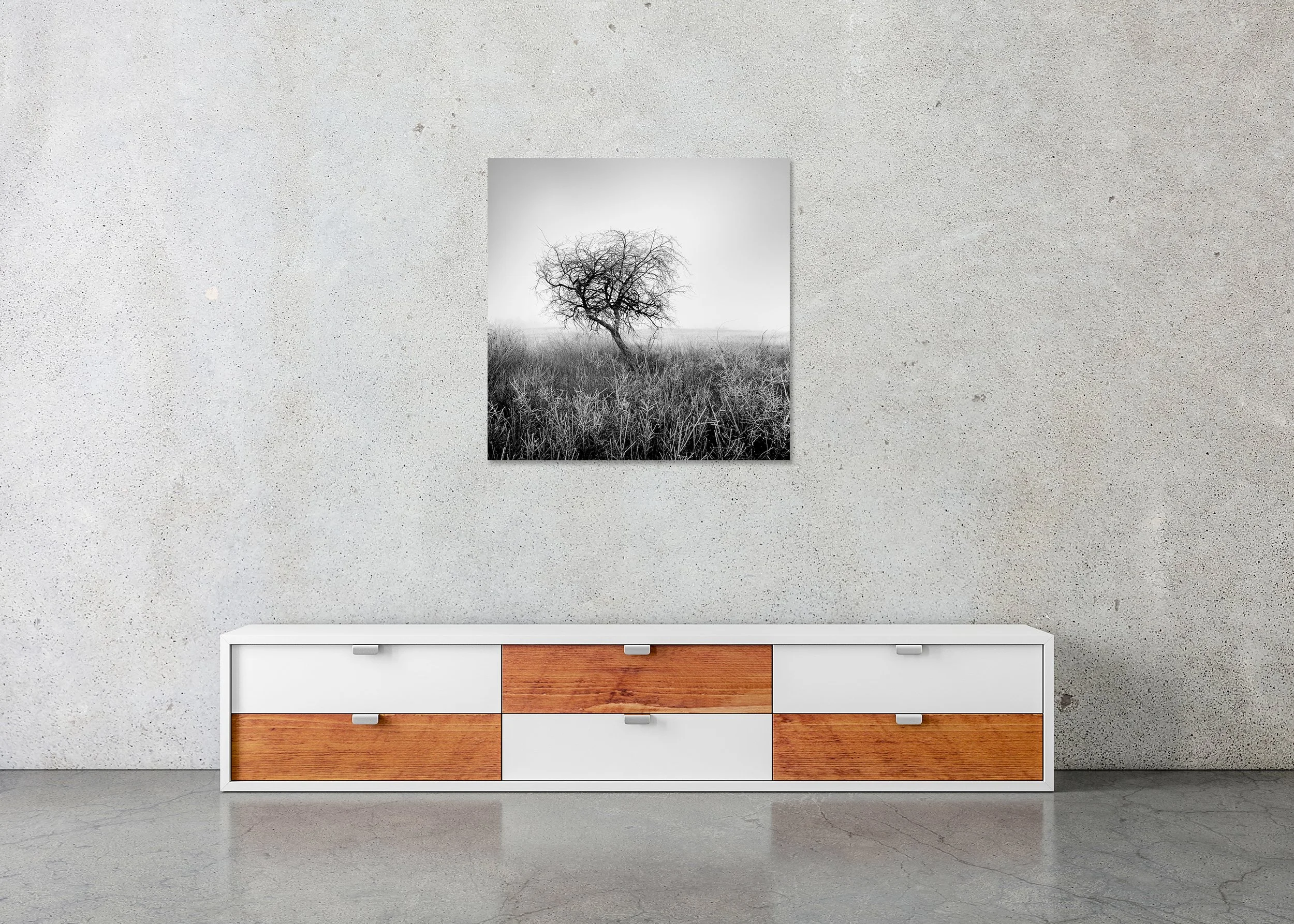 Tree in Hoarfrost Study 1 displayed in a modern interior as a frameless black-and-white artwork mounted on aluminium Dibond by Gerald Berghammer.