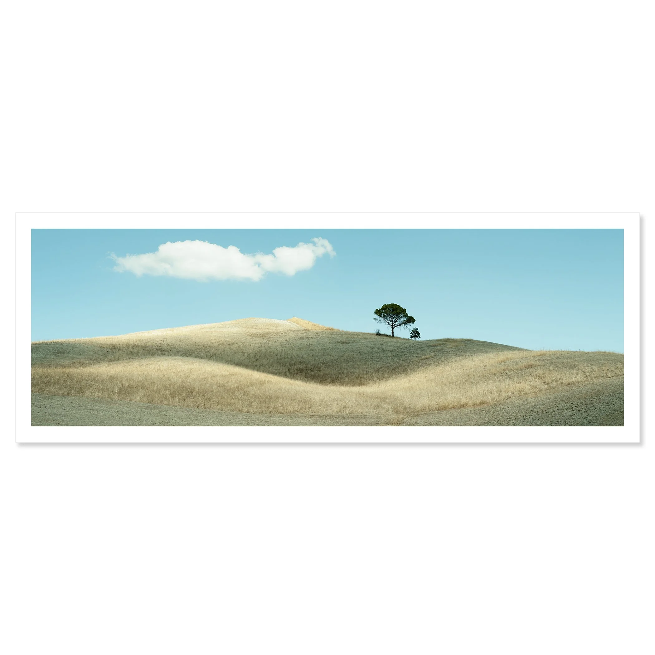 © 2021 Gerald Berghammer - Color Tuscany landscape photography. Landscape with rolling hills, a single tree, a huge cloud, and a field of dry grass. Fine art print only
