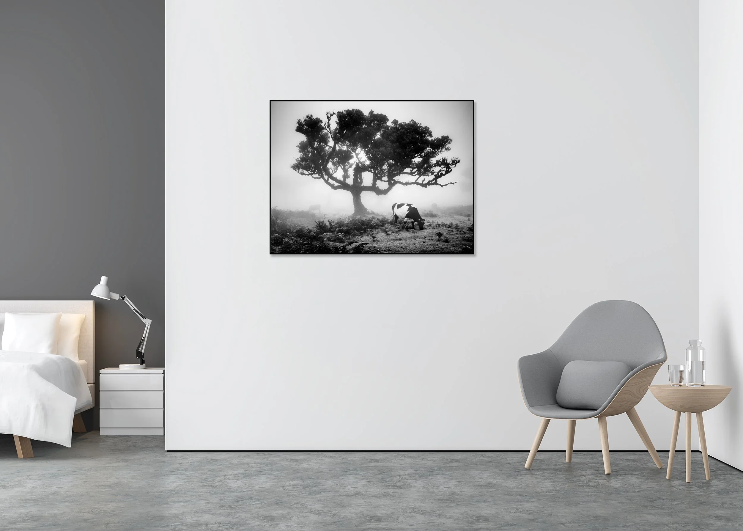 Black-and-white photo of a foggy pasture with a spreading tree silhouette and a cow grazing; mounted on Dibond in an aluminium ArtBox.