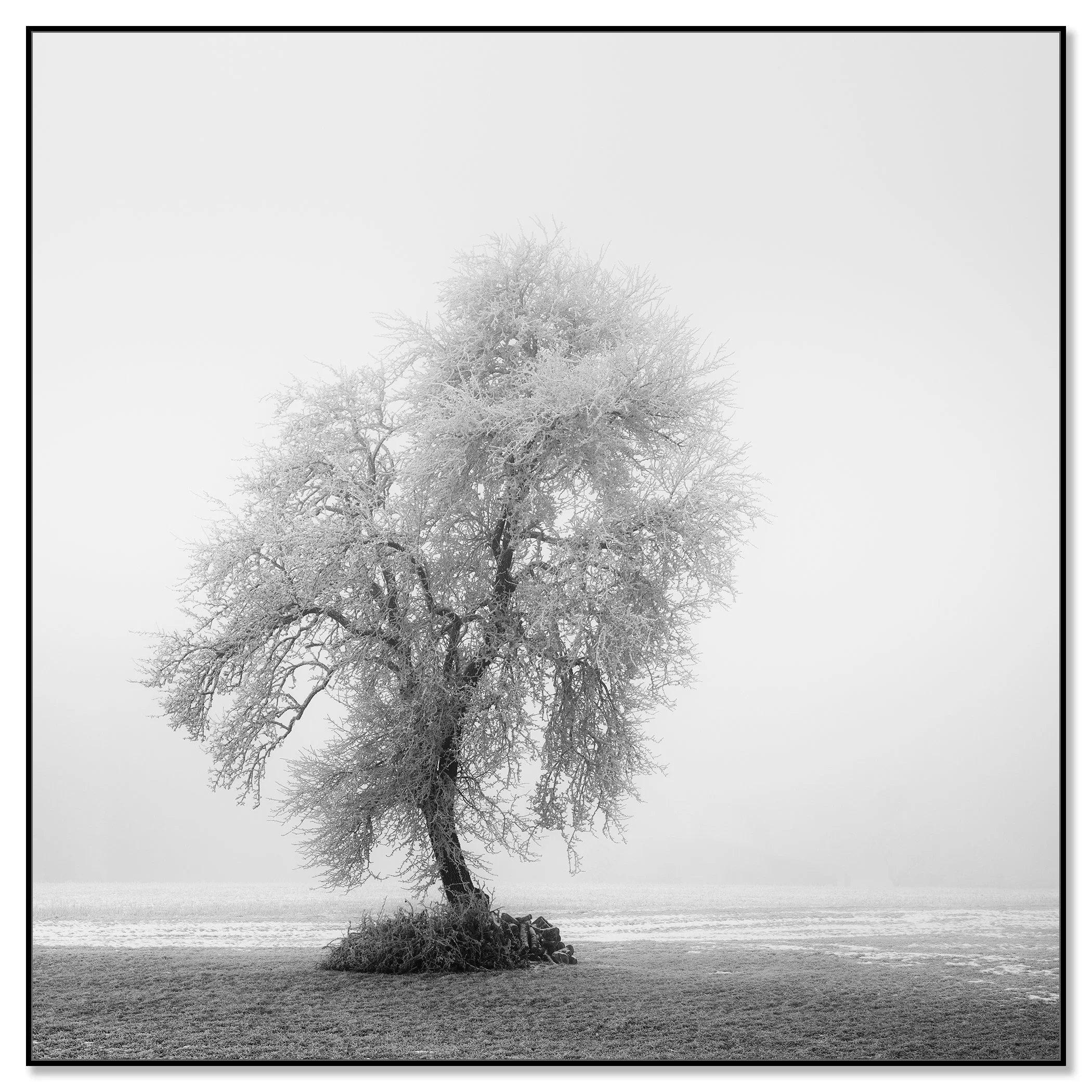Frozen Farmland Study 2 by Gerald Berghammer, minimalist winter landscape presented in a black aluminium ArtBox frame.