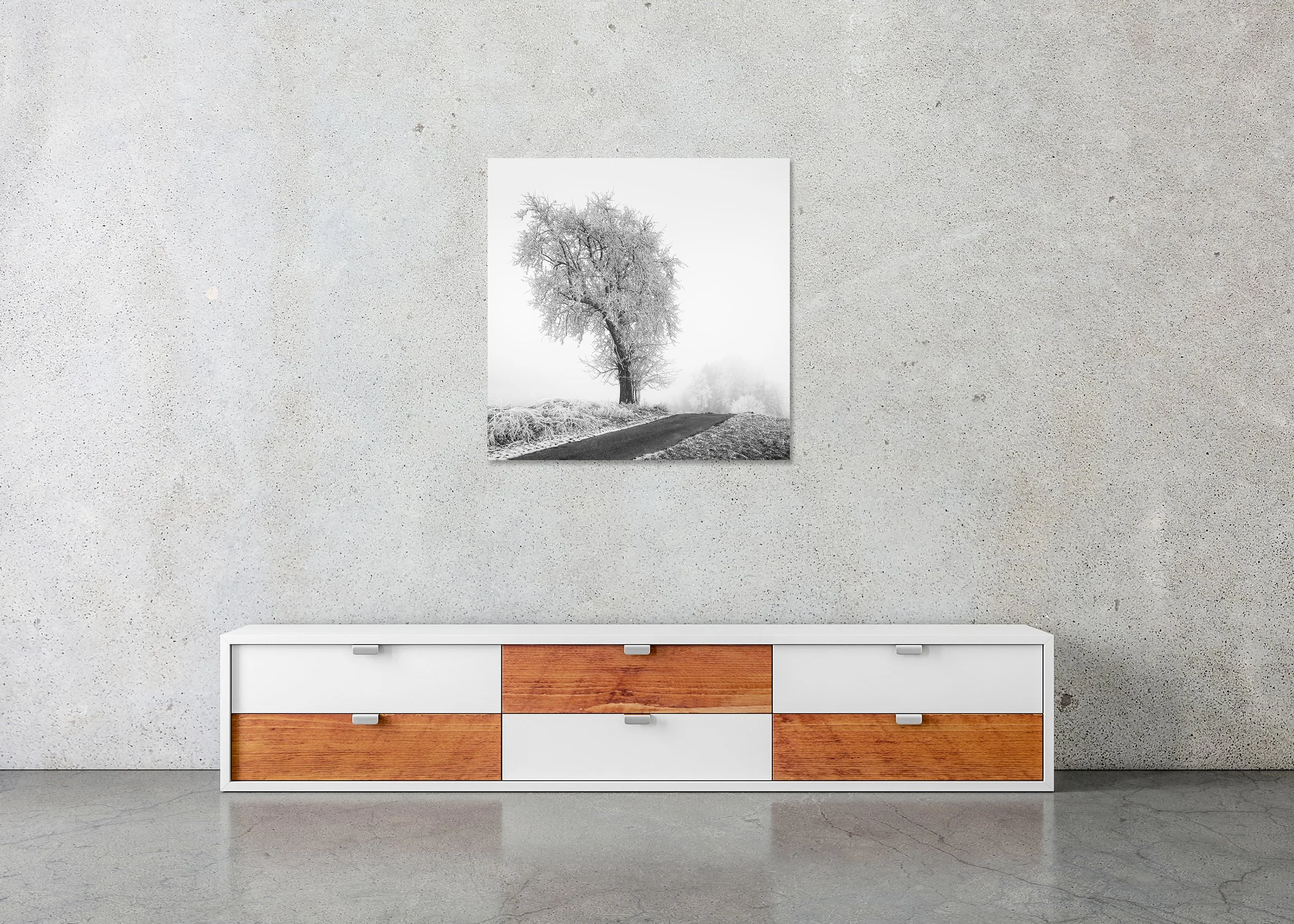 Frozen Farmland Study 3 by Gerald Berghammer displayed in a minimalist interior as a frameless black-and-white photograph mounted on aluminium Dibond.