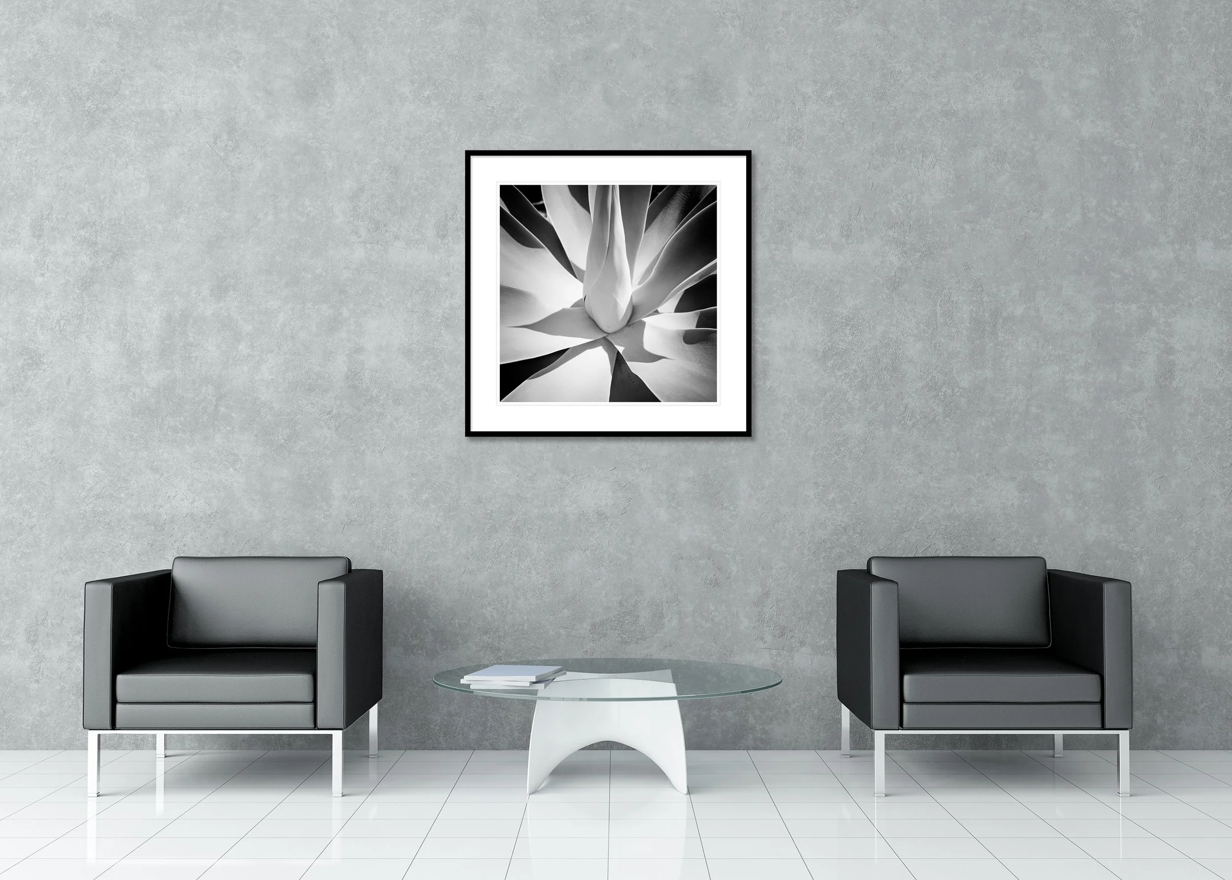 Minimalist black-and-white agave photographed from above, clean lines and strong contrast; archival pigment print in a classic frame with a mount.