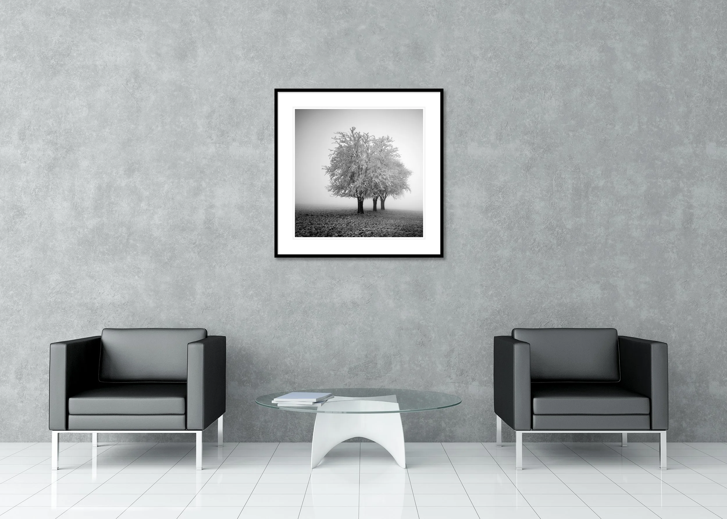 Frozen trees in dense fog across a frosty countryside field, archival pigment print in a classic frame with a mount