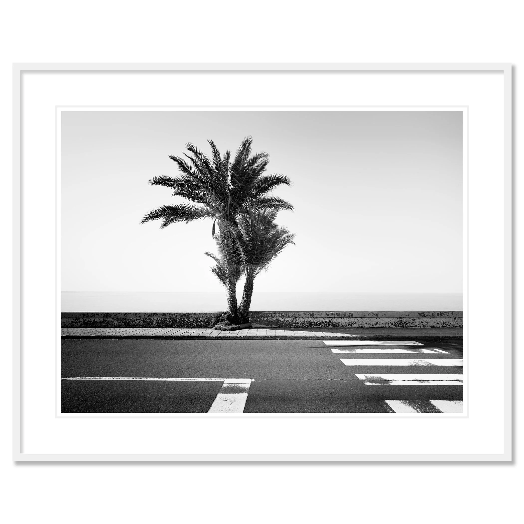 Gerald Berghammer - Black and white landscape photography. Palm tree next to a sidewalk and crosswalk on a road, with the ocean in the background. Classic framed white