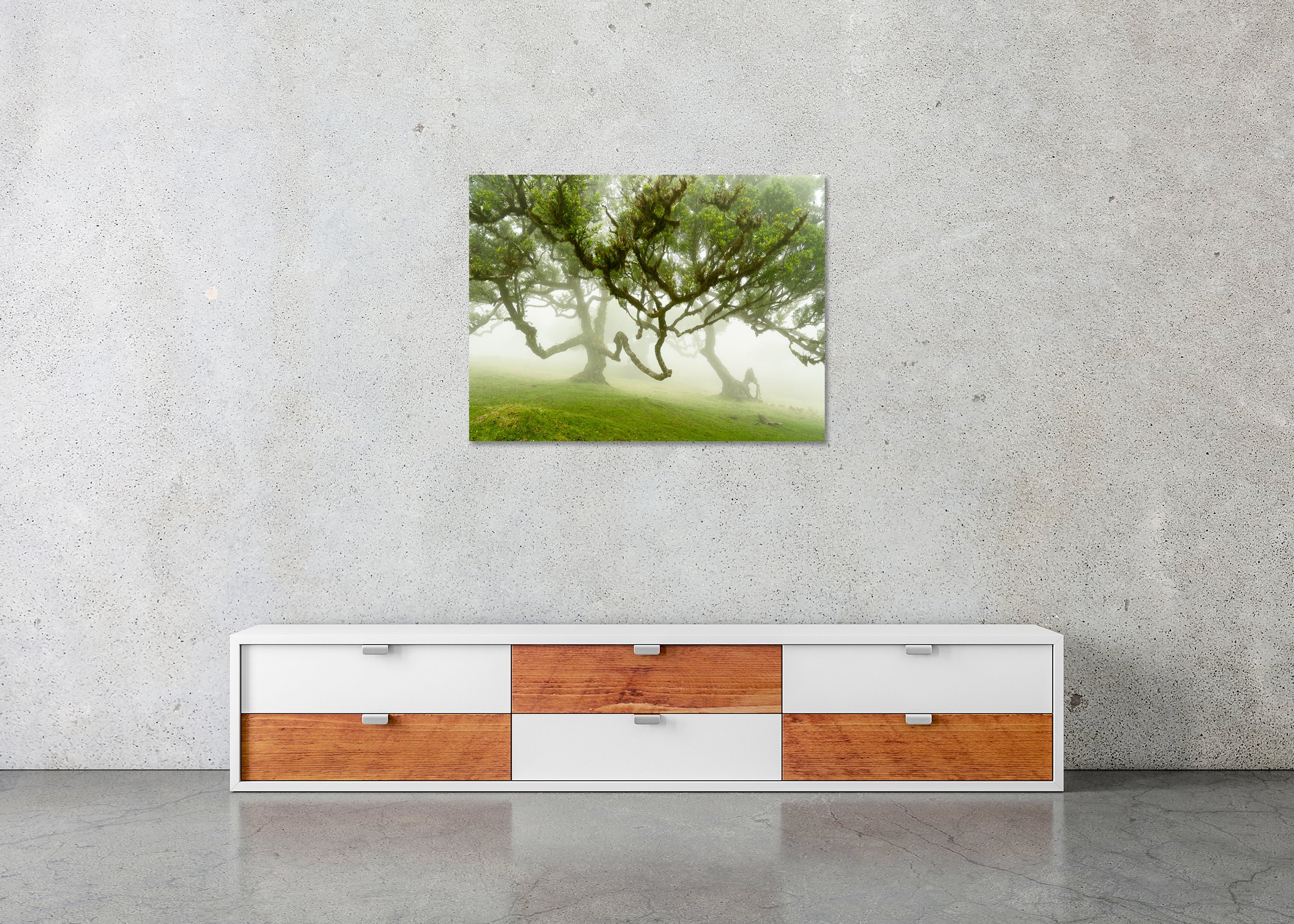 Ancient moss-covered trees with twisted branches in a misty green forest, creating a serene, mystical landscape — ChromaLuxe metal print, frameless.