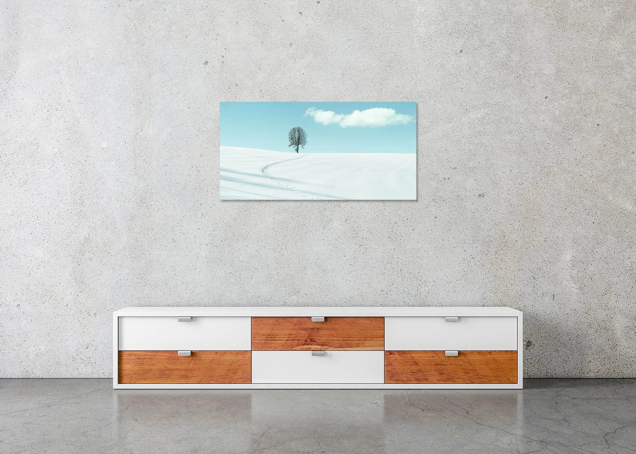 Winter Path to the Lone Tree – Austria, colour photo print mounted to frameless Dibond.